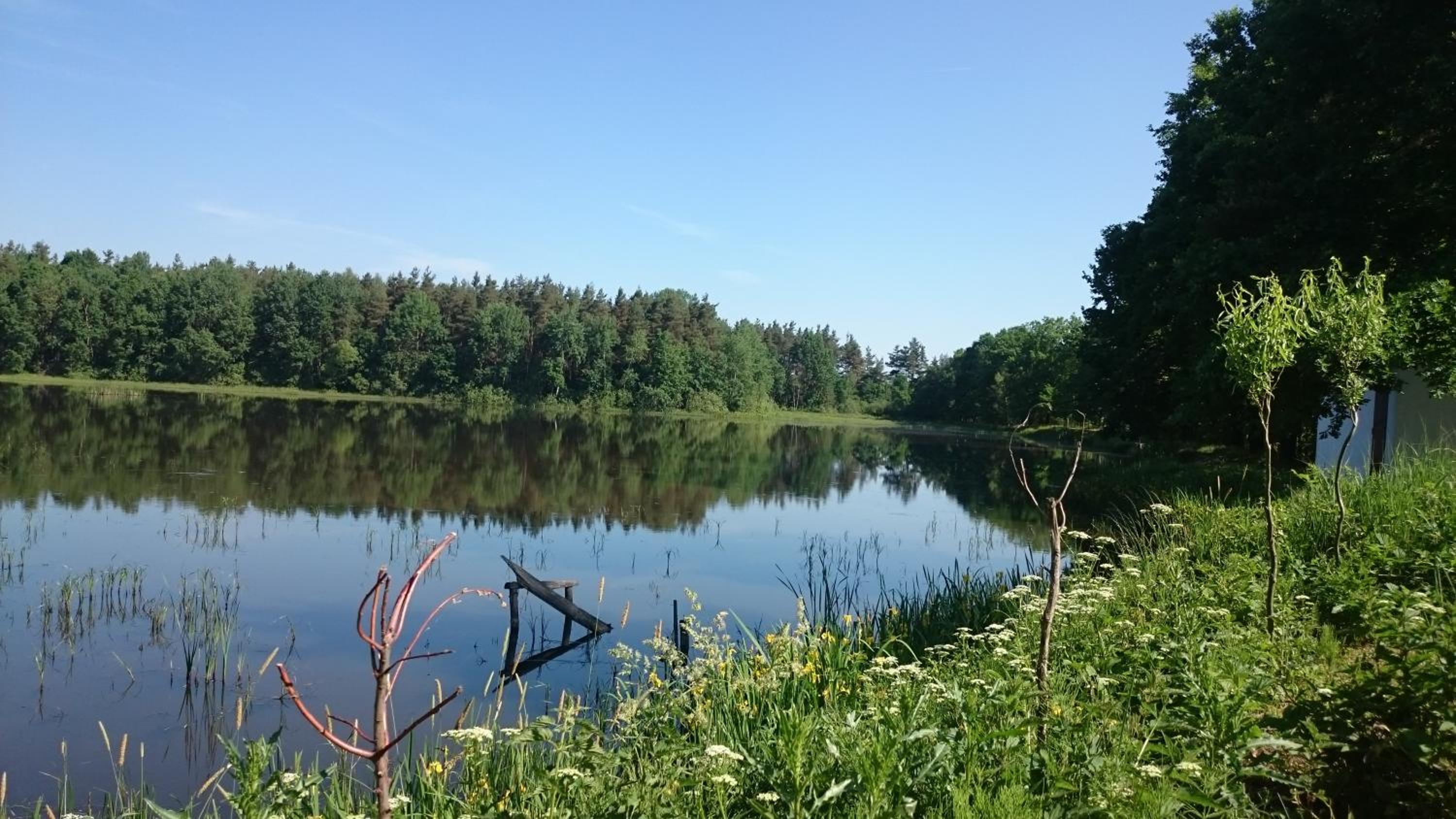 Photo 33