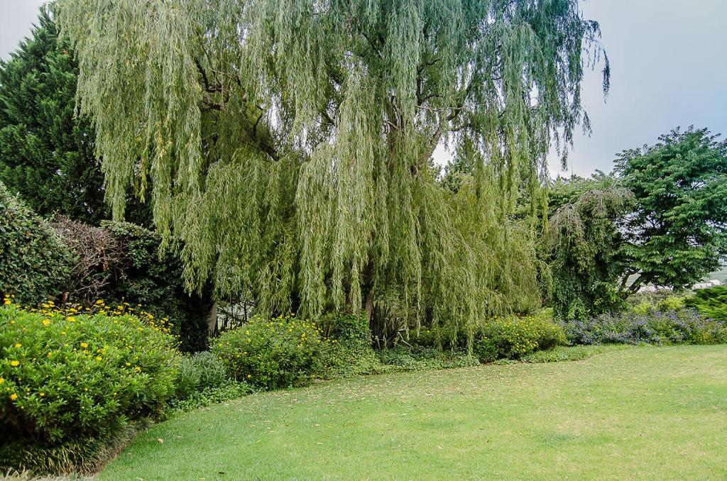 Glen Ormond Country House