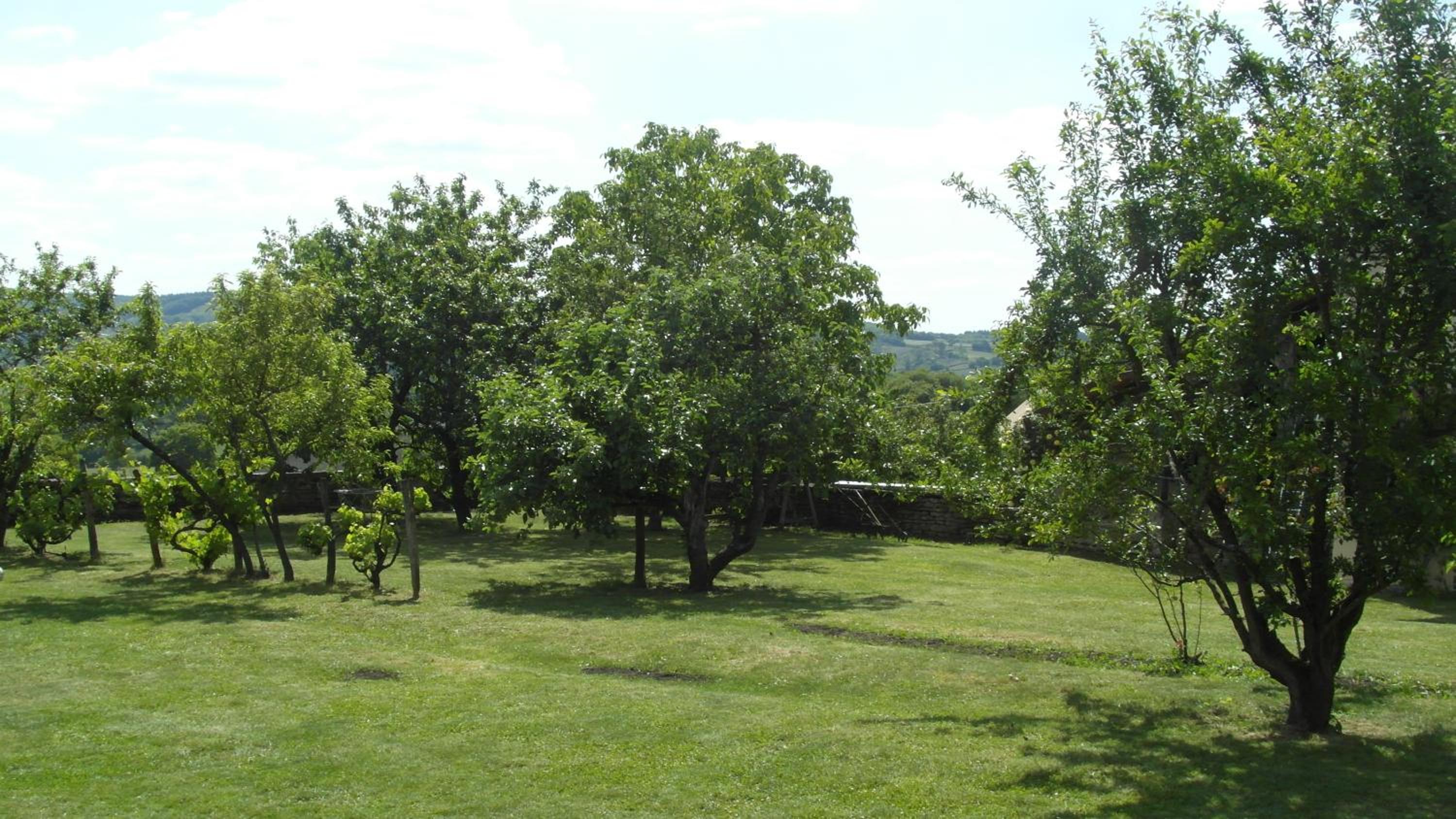 Photo 34