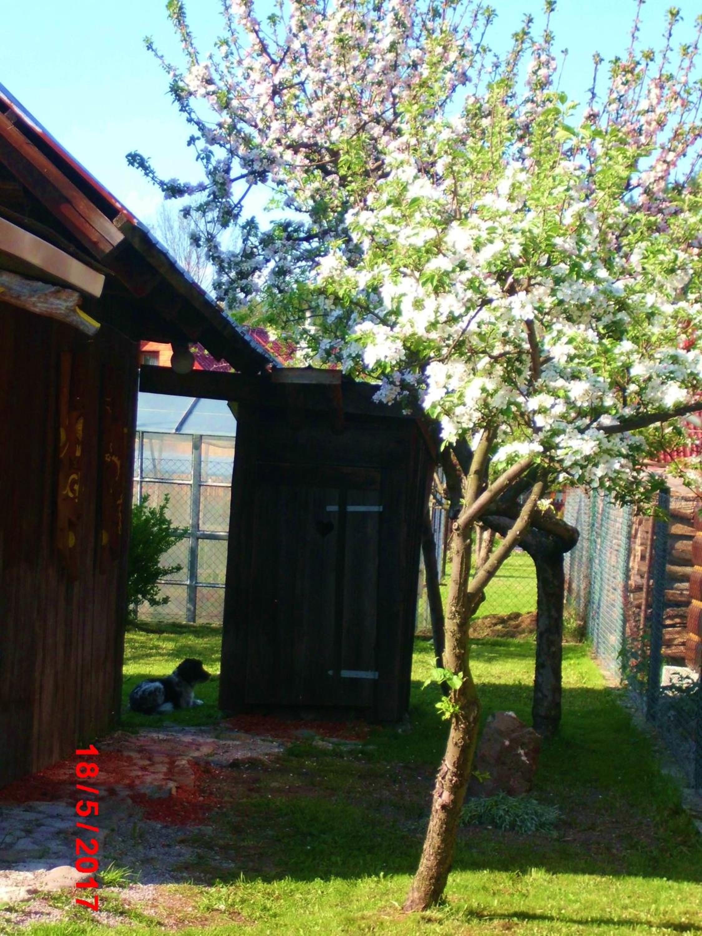 Photo 40
