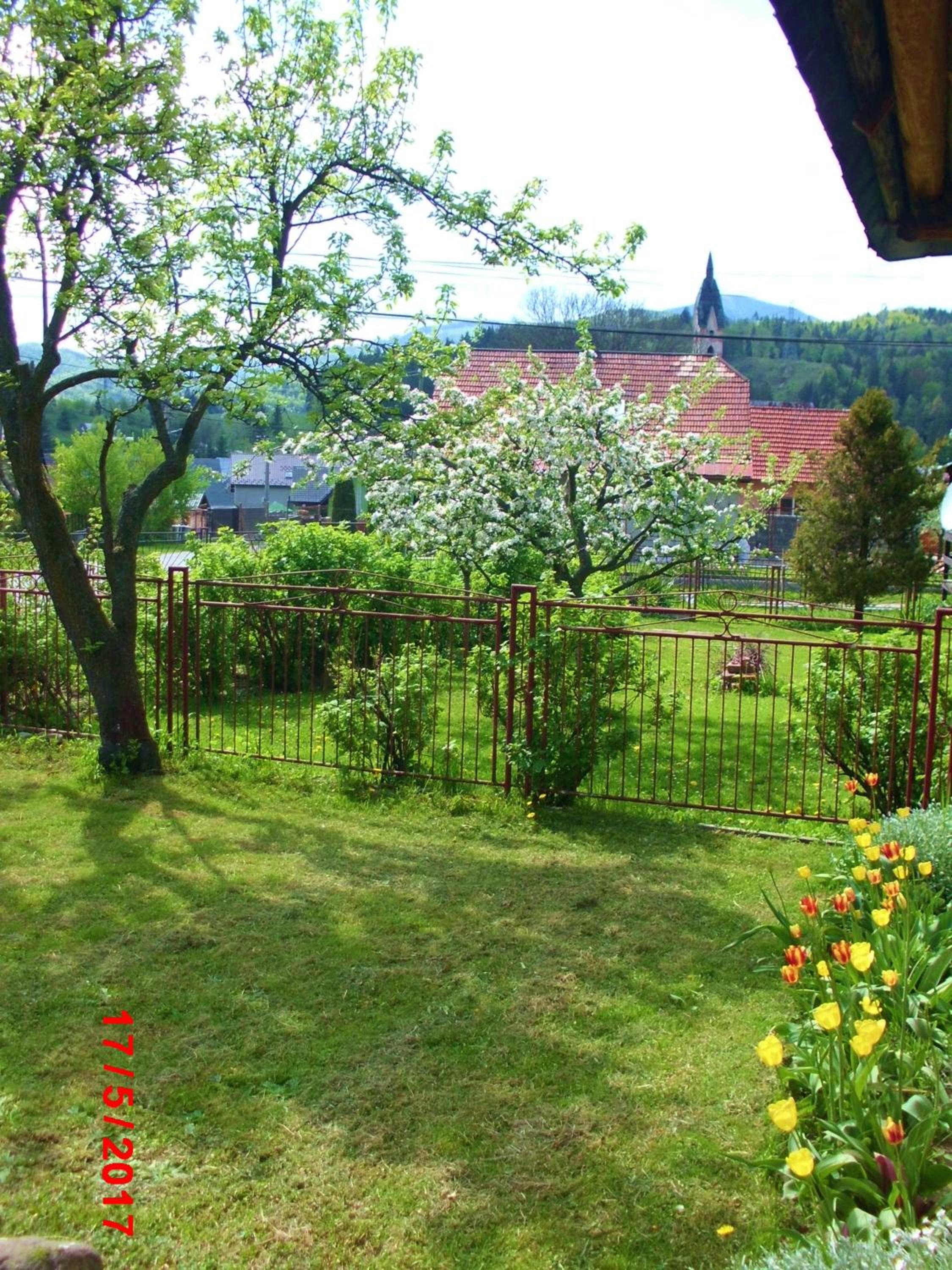 Photo 15