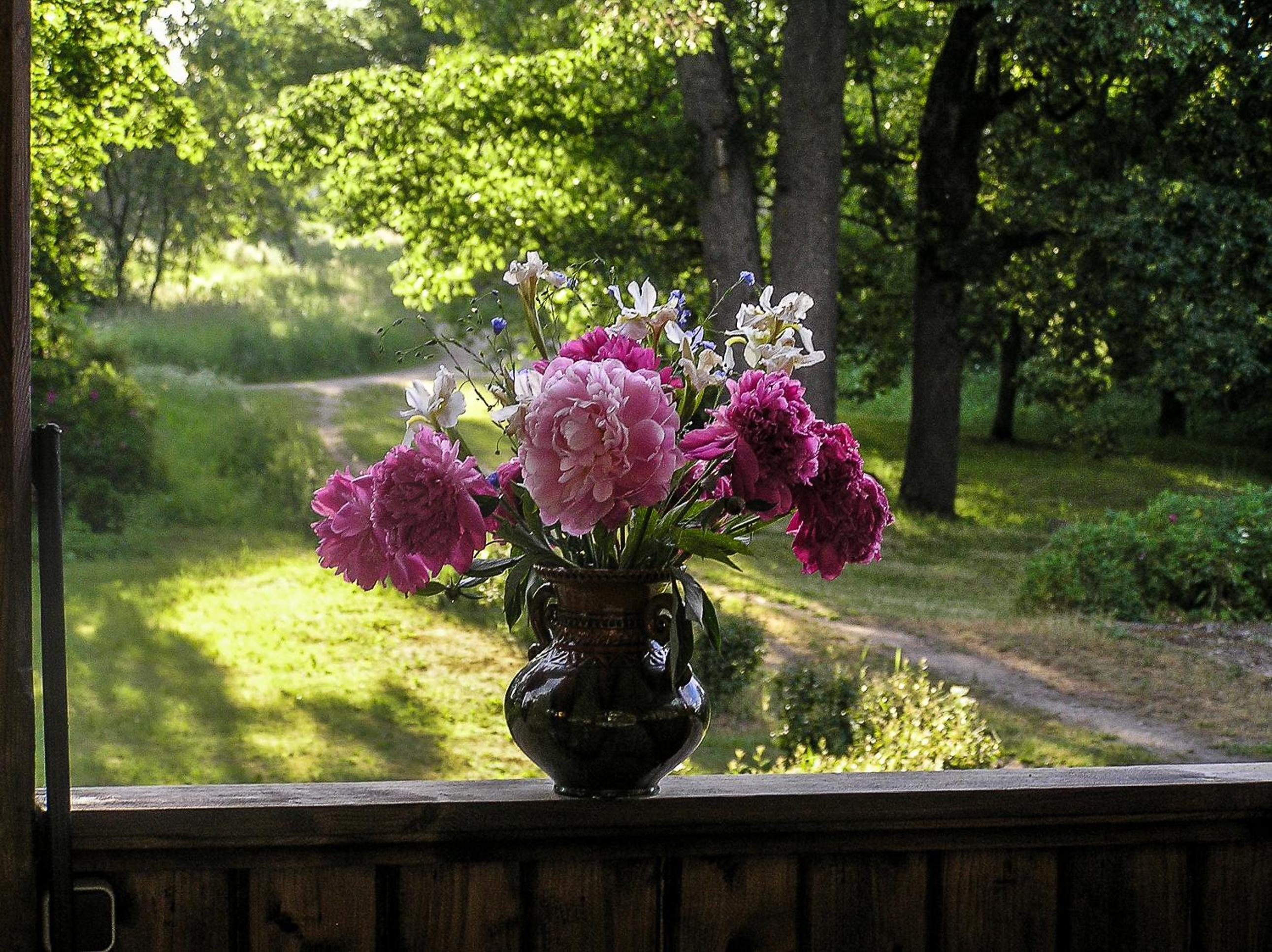 Photo 31