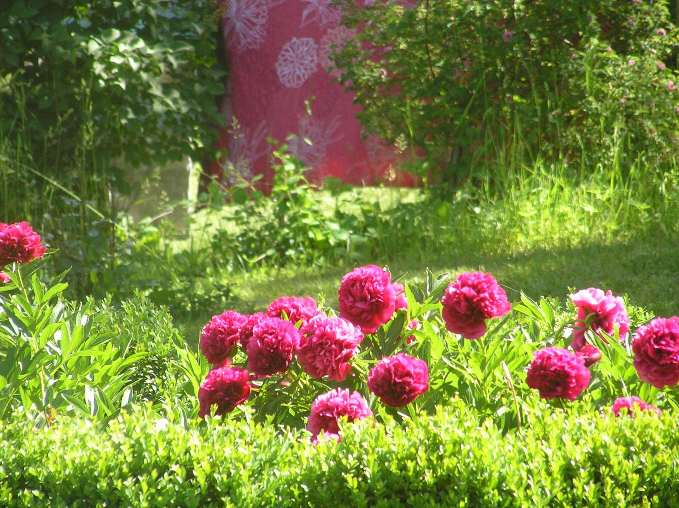 Photo 44