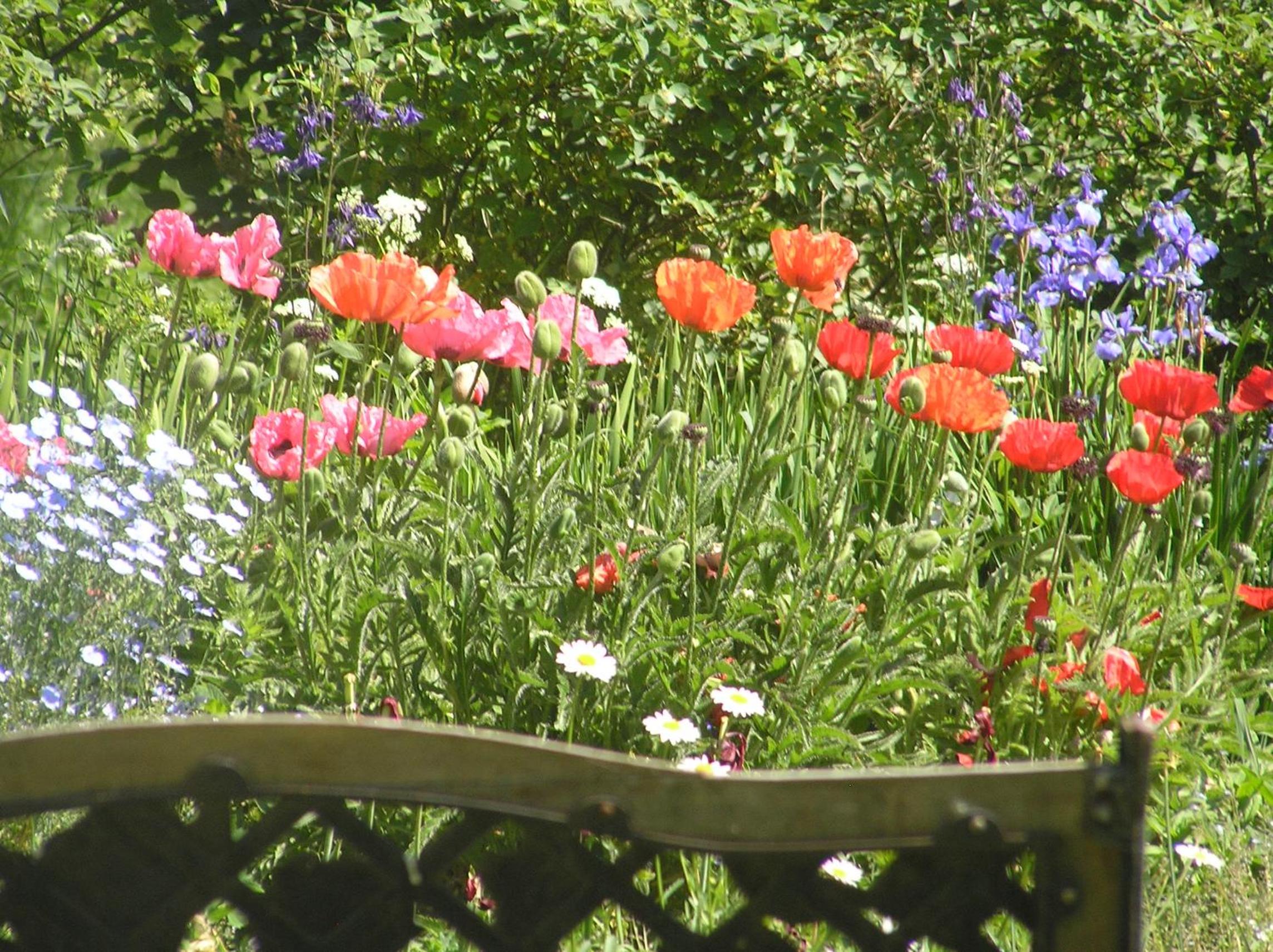 Photo 43
