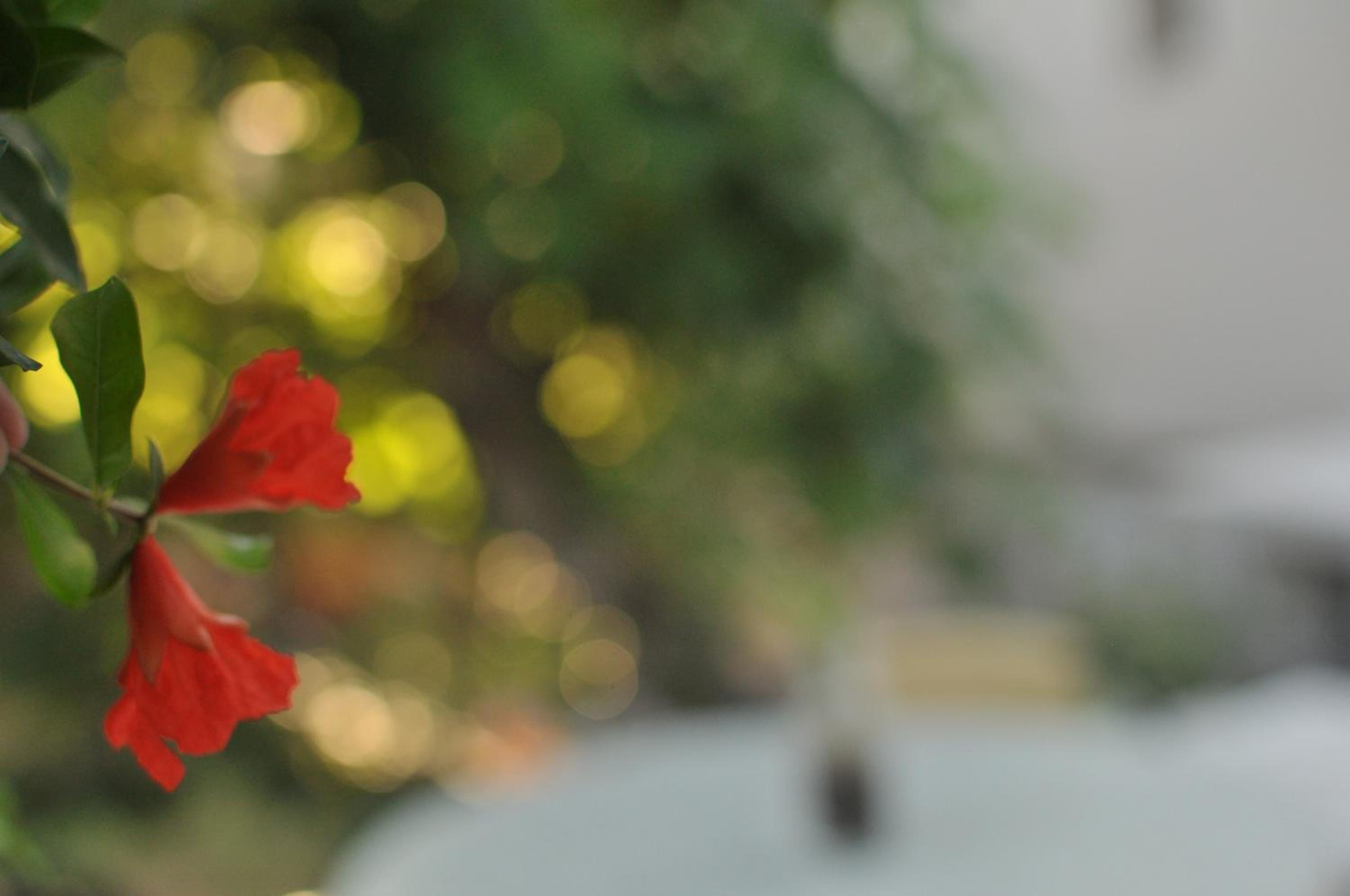 Photo 100