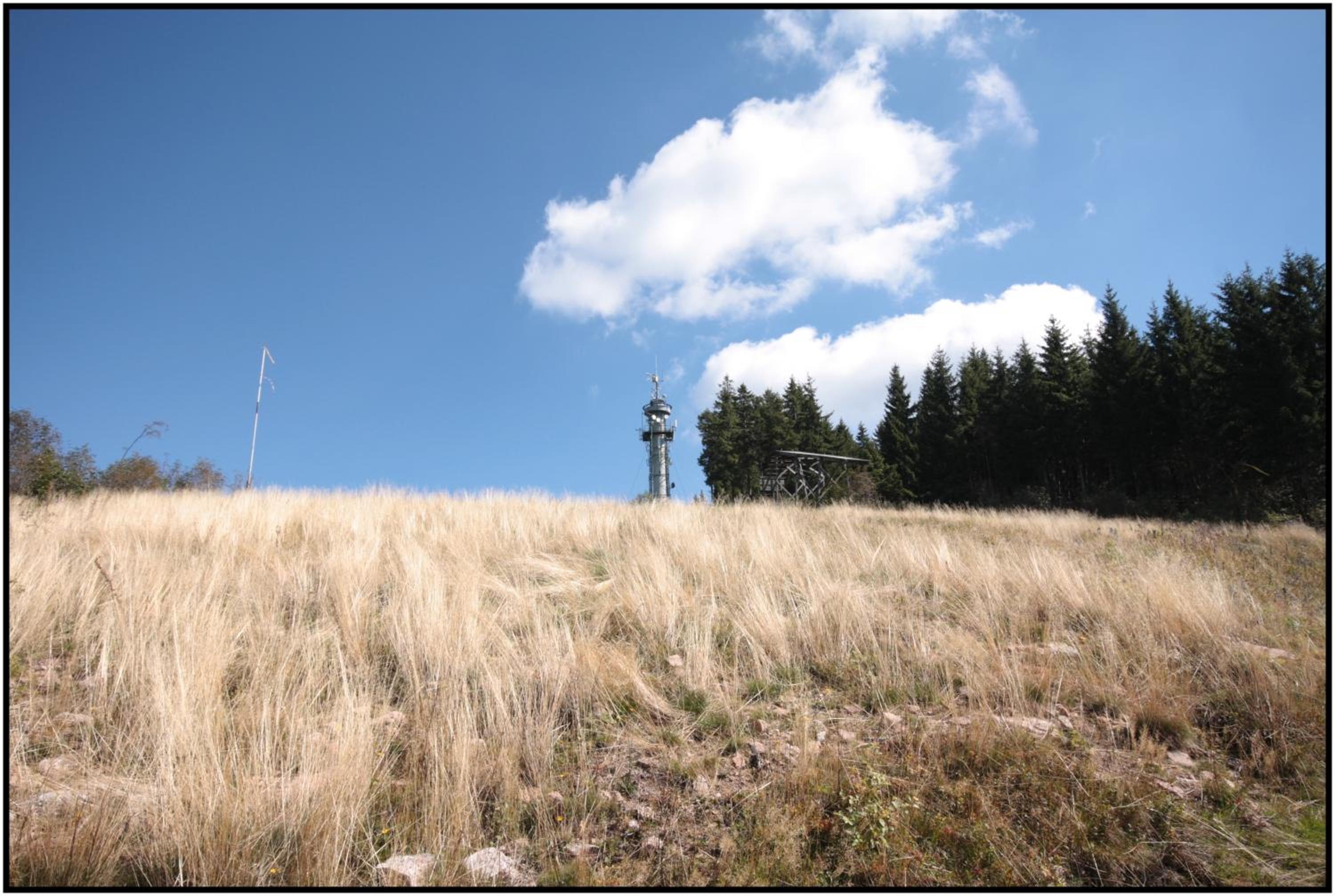 pop-up stuub feldberg