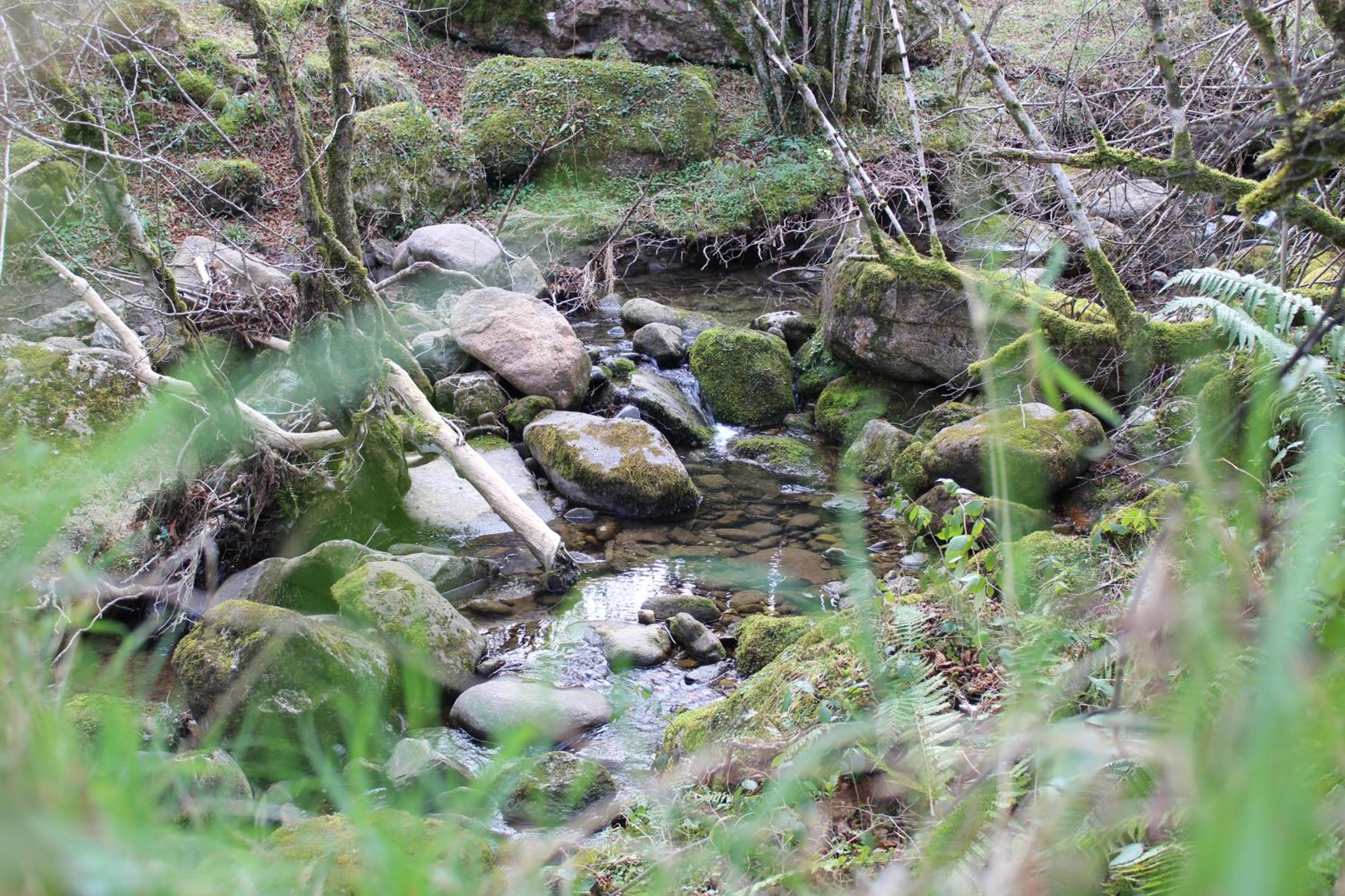 Photo 37