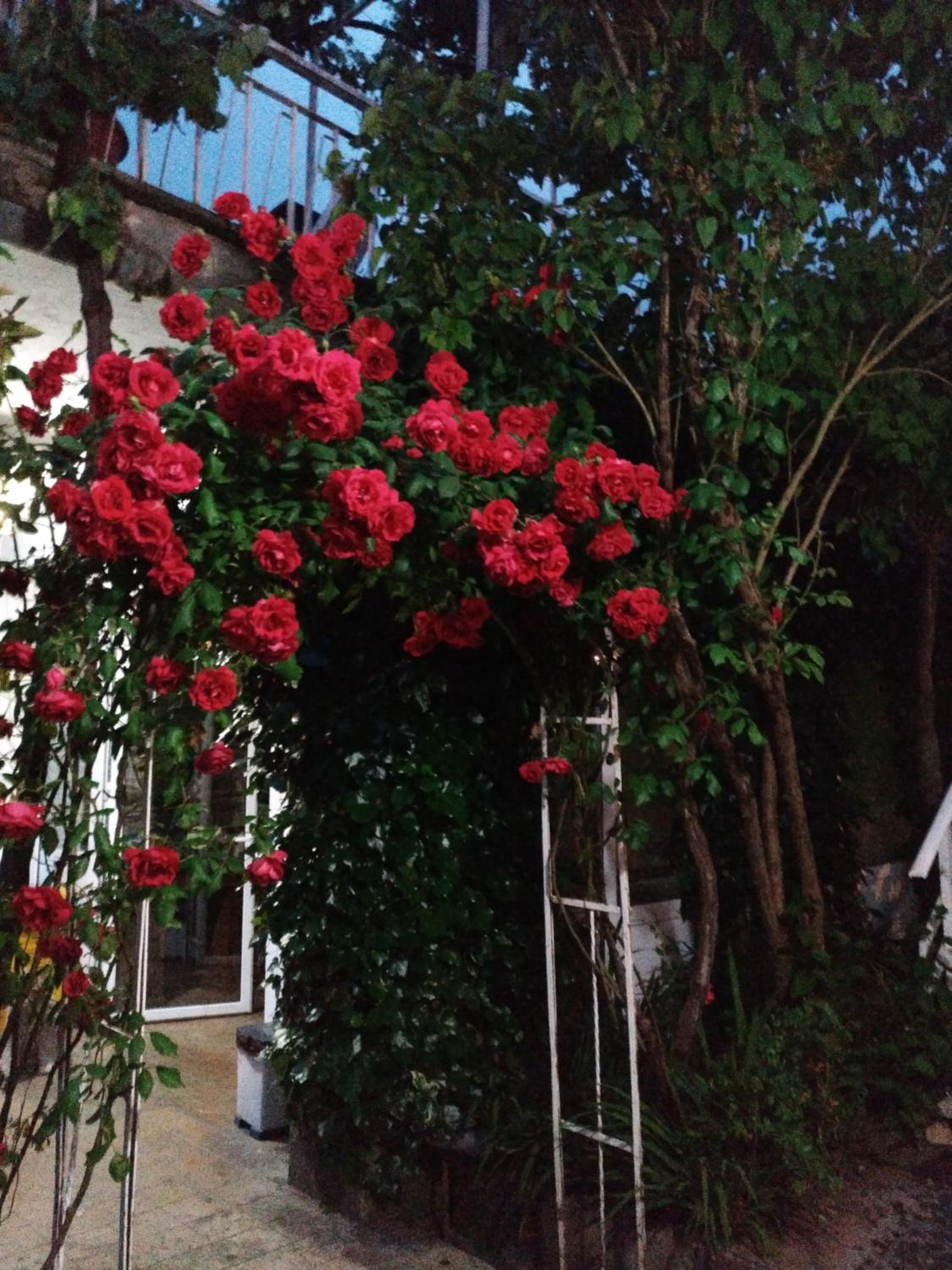Pension-Albergue Don Alvaro