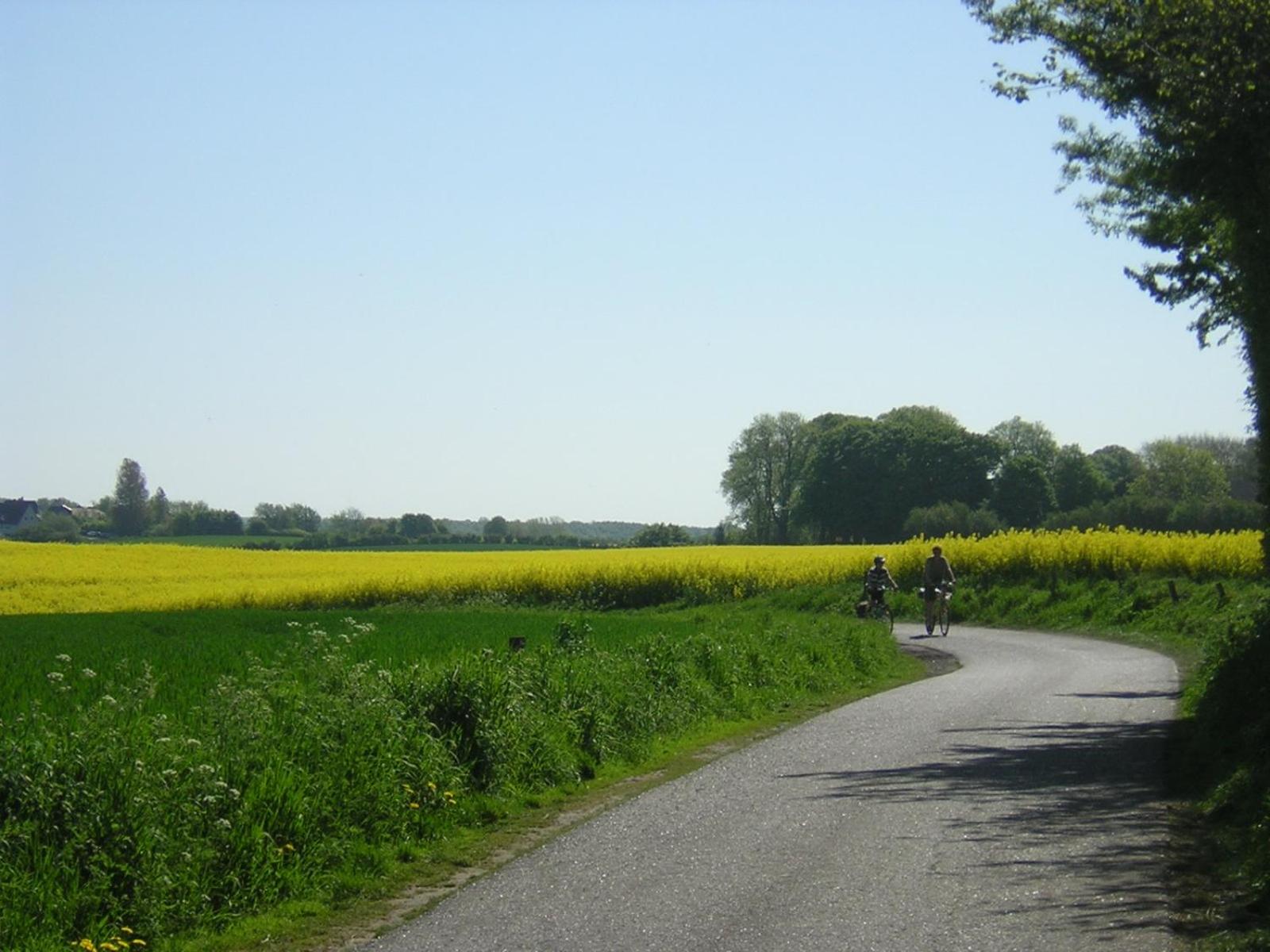 Fördefarm-Natura view 4