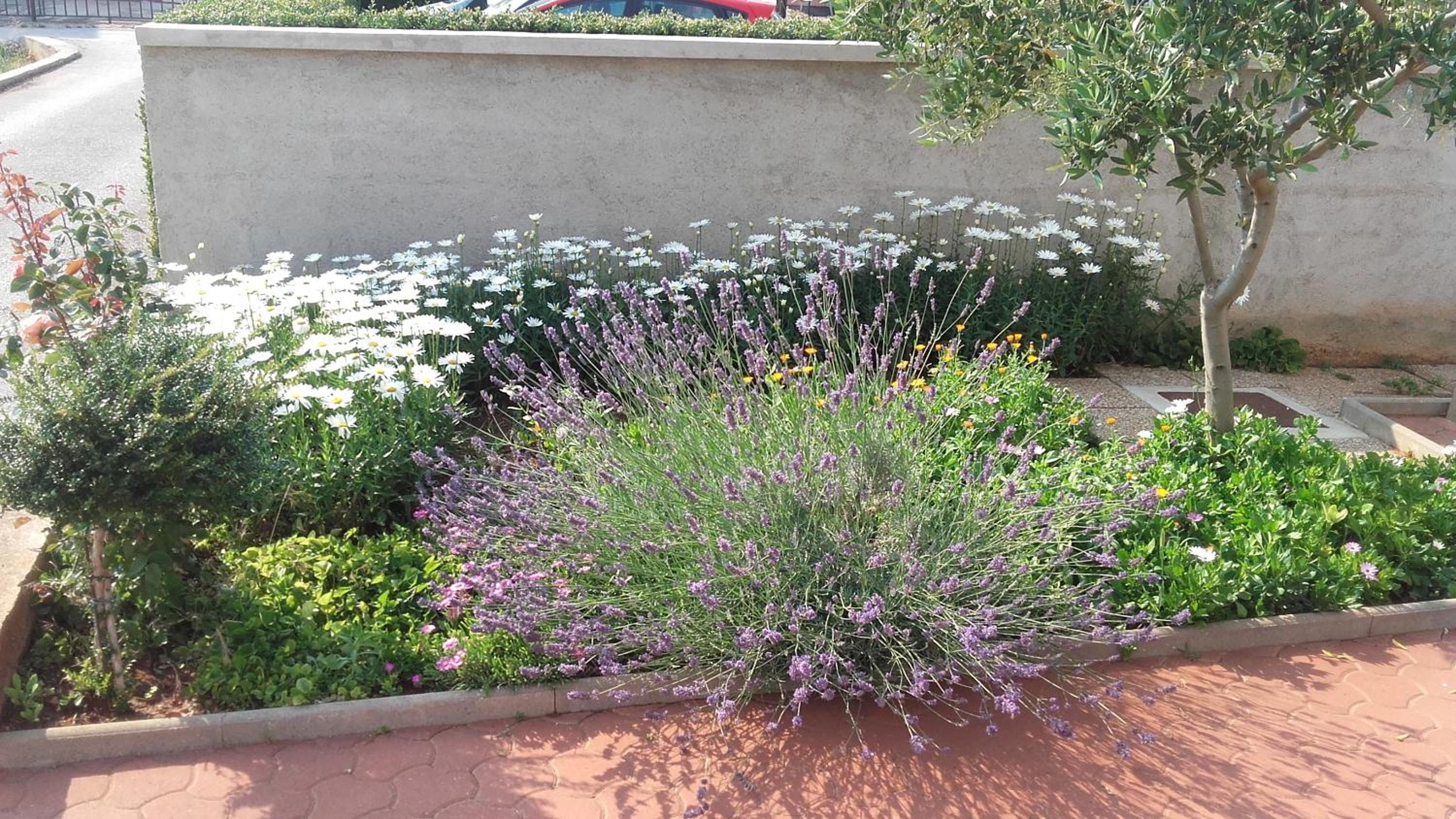 Photo 38