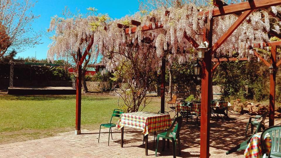 Camping Internazionale Di Castelfusano view 3