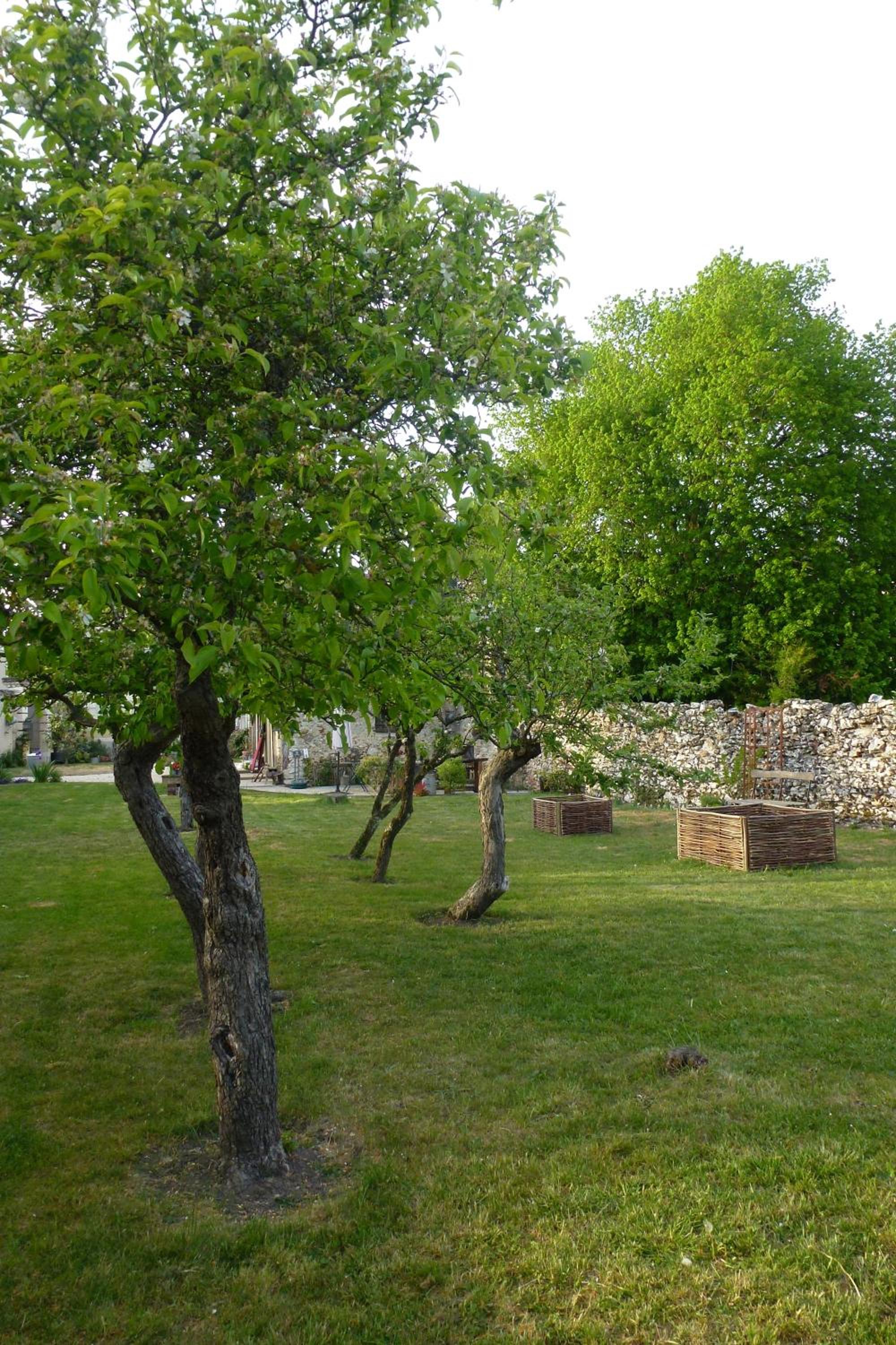 Photo 17