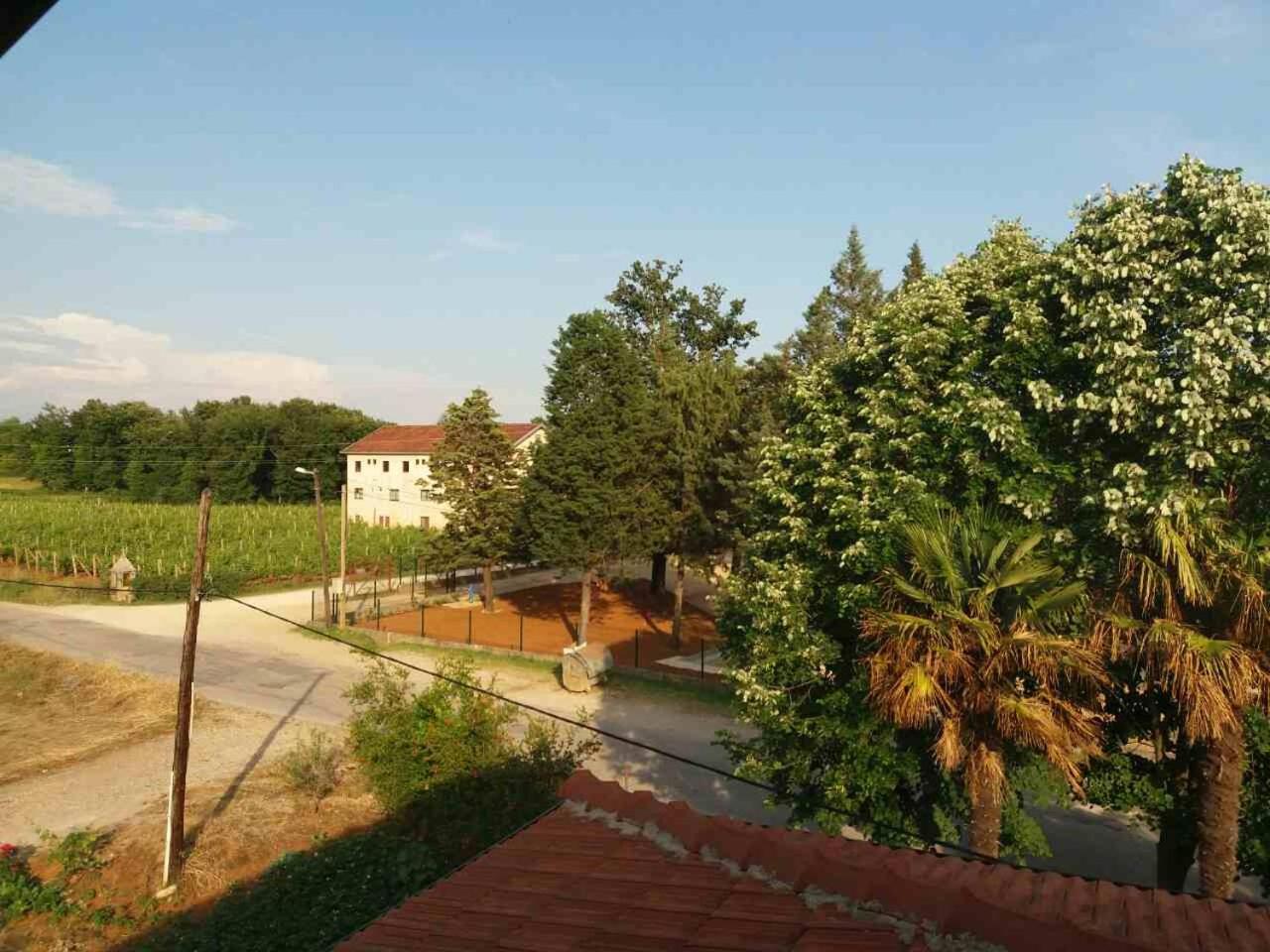 Pansion Ljubica