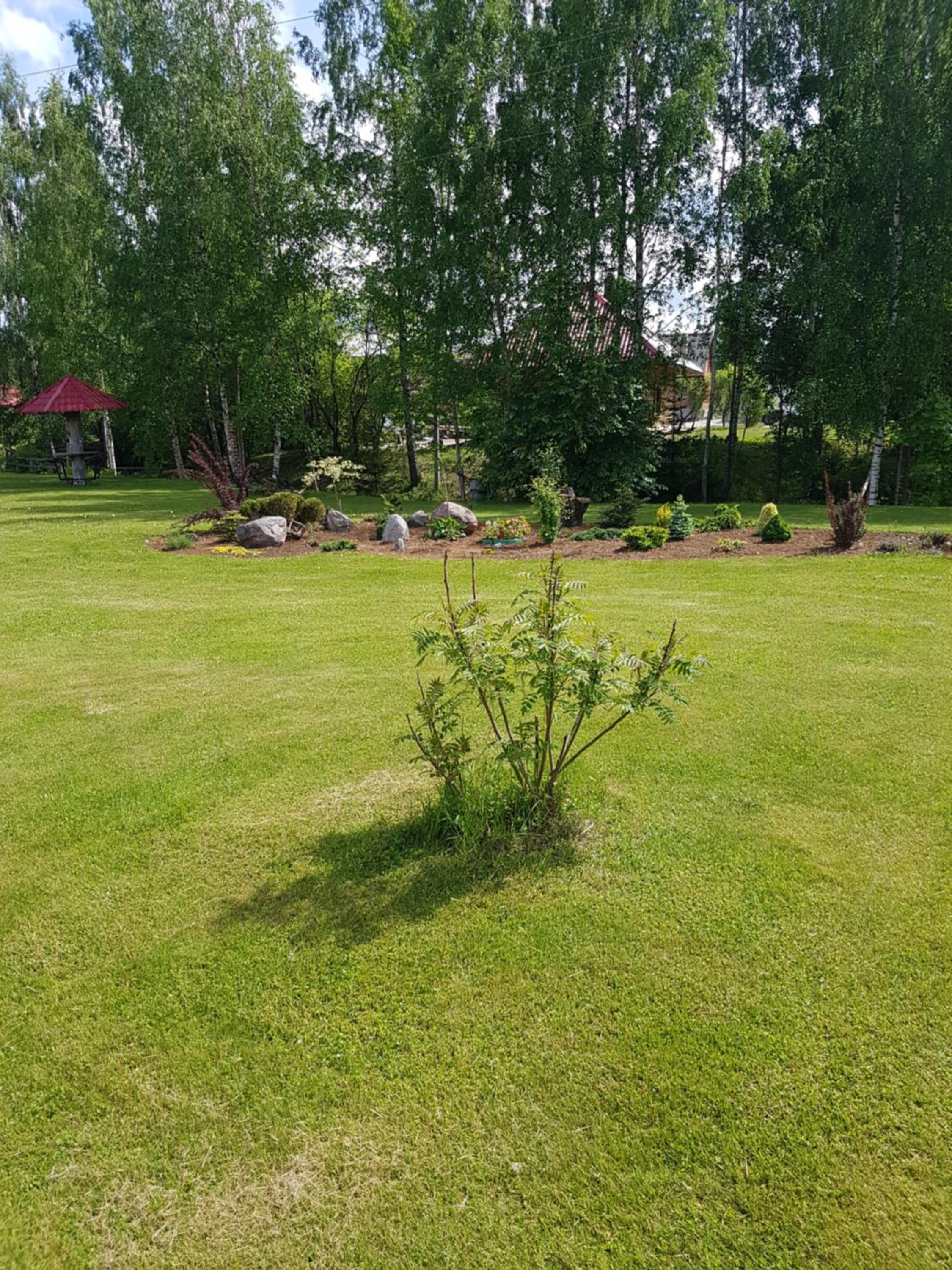 Photo 47