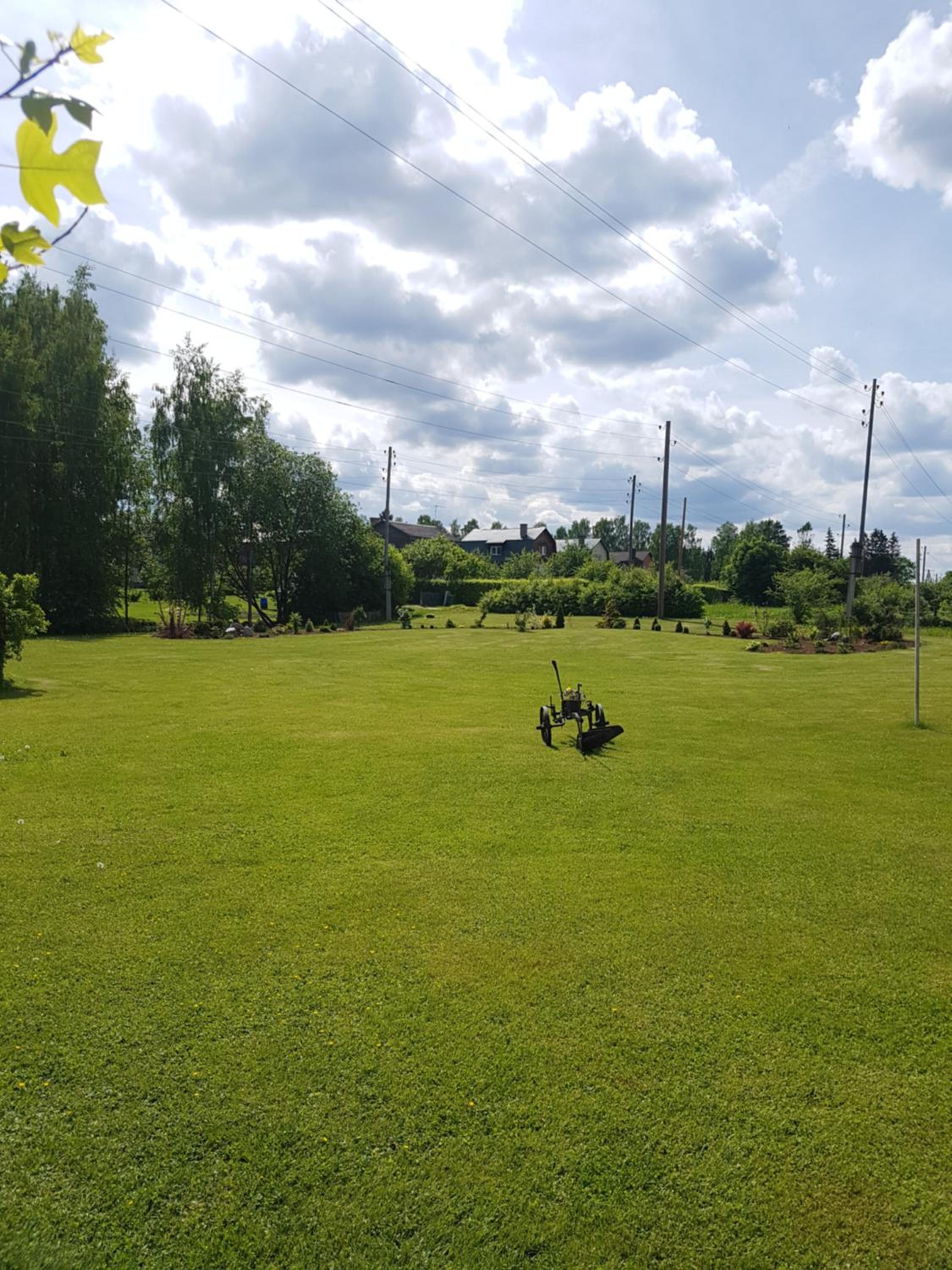 Photo 40
