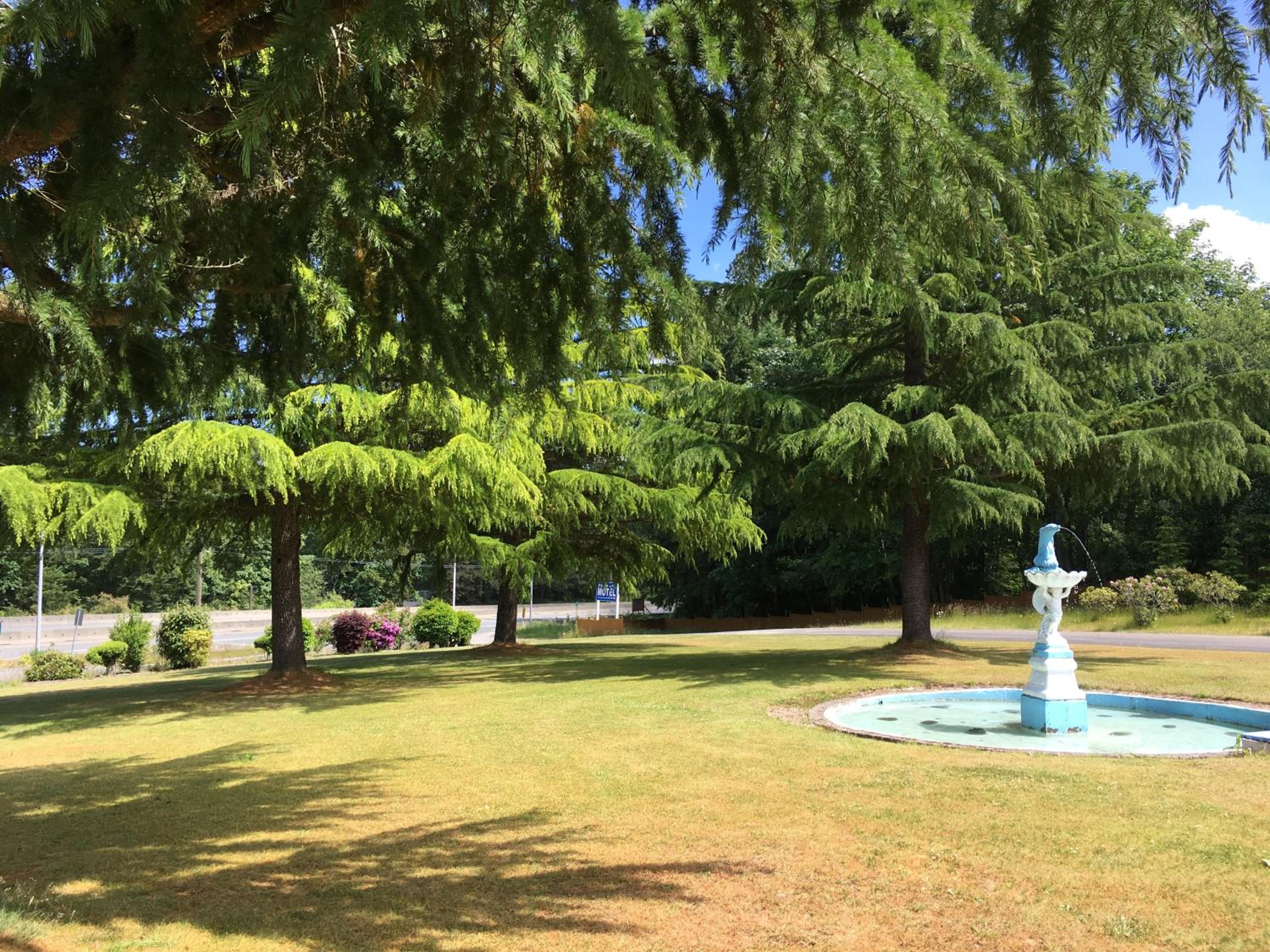 Fuller Lake Chemainus Motel