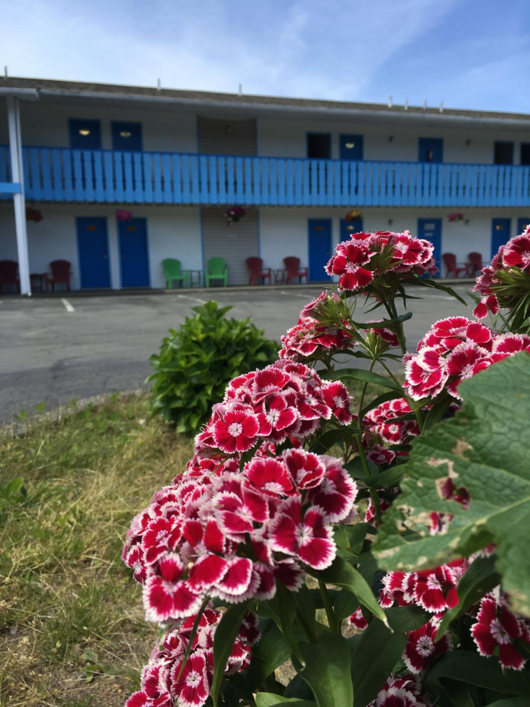 Fuller Lake Chemainus Motel
