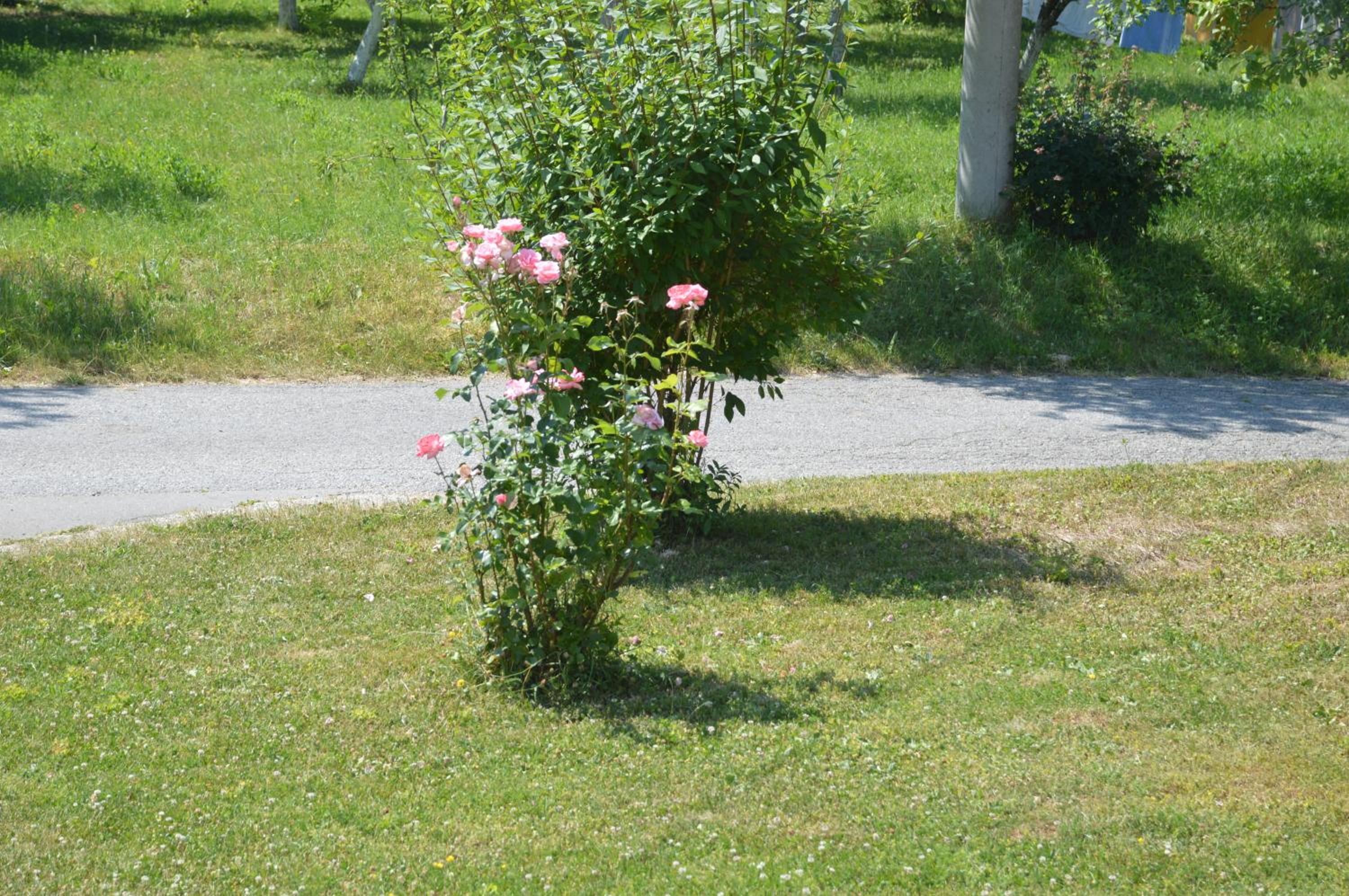 Photo 34