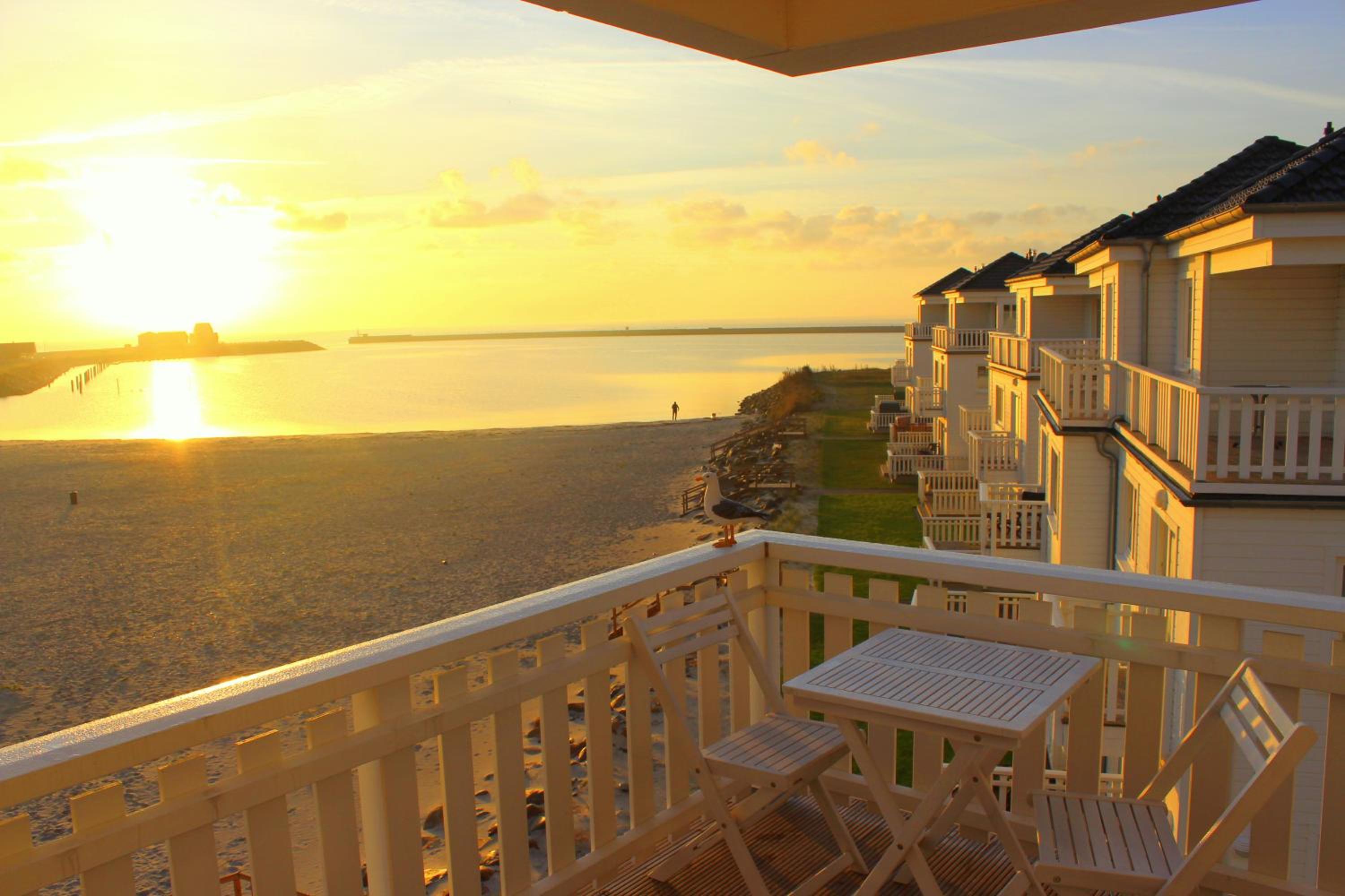 Strandhaus Libelle - direkt am Strand der Ostsee