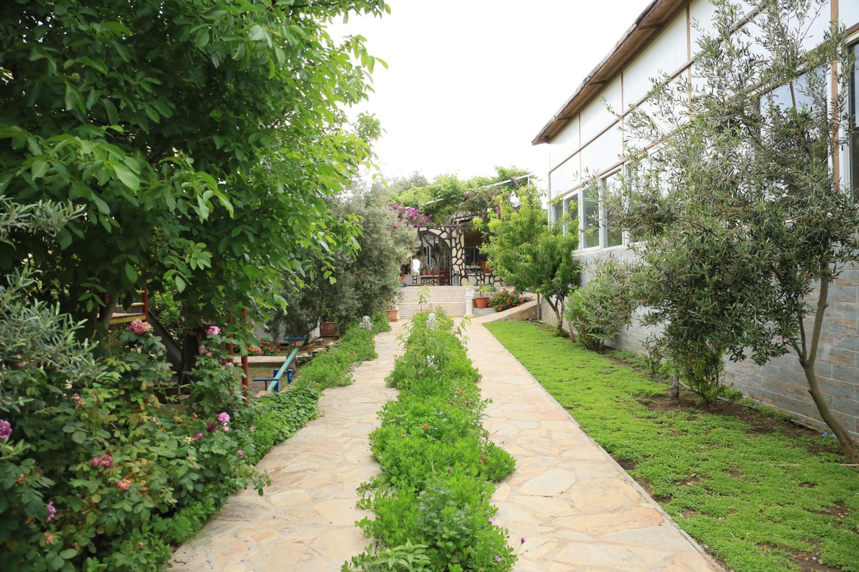 garden