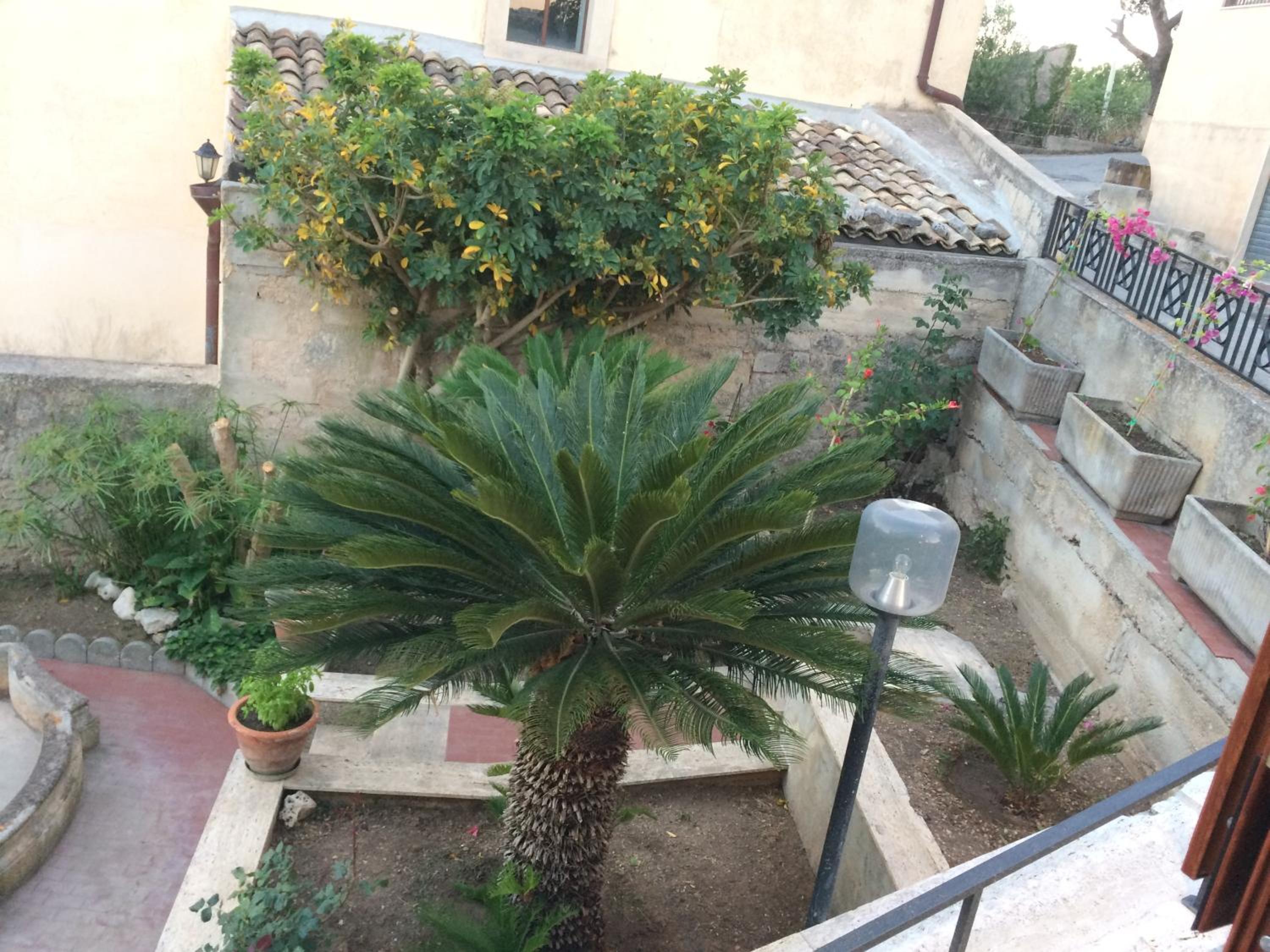 B&B La Terrazza Dell'Itria