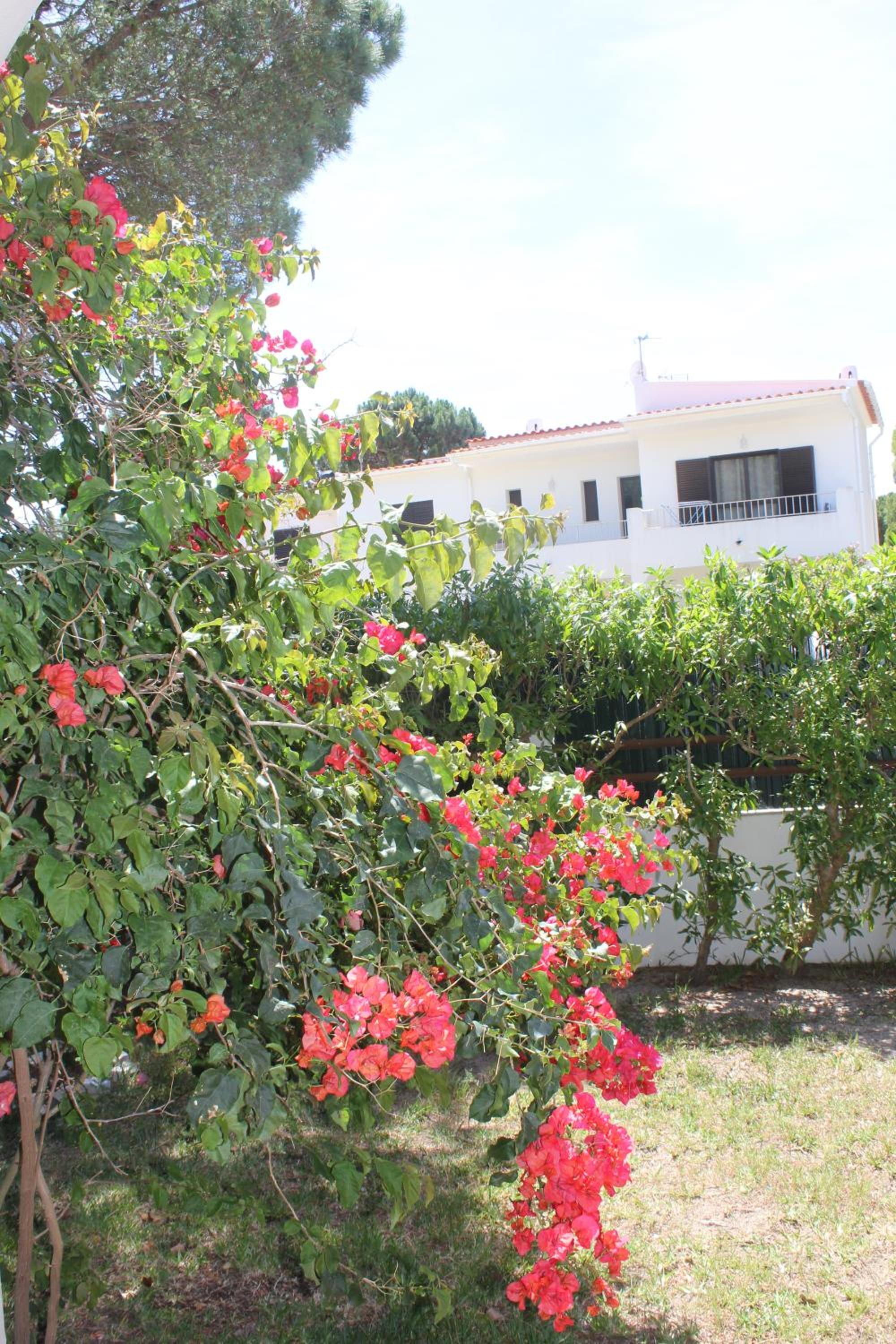 Hotel CASA 19 - Image 1