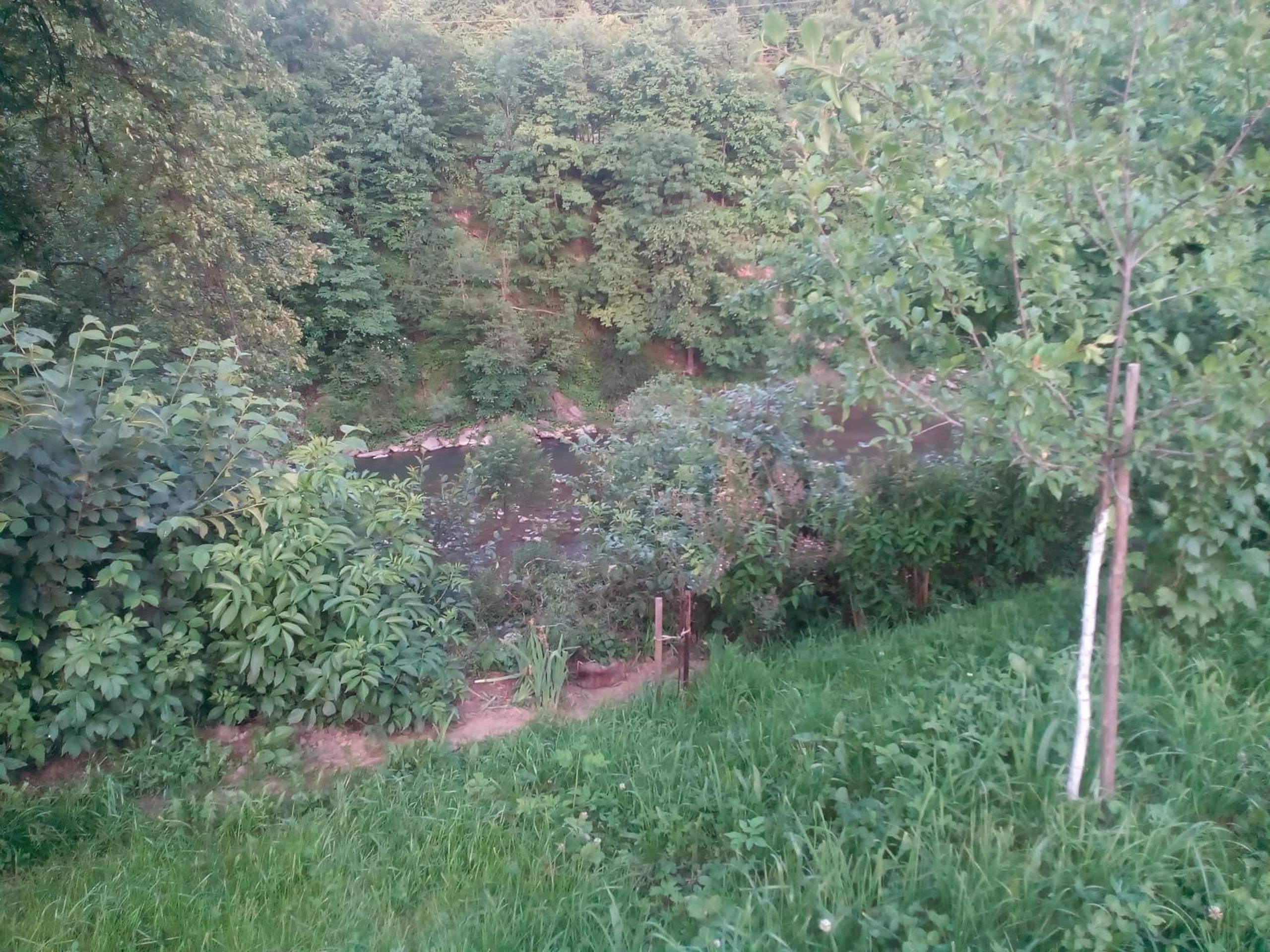 Photo 49