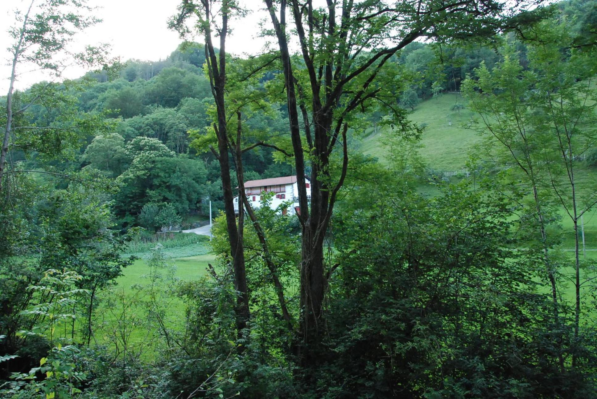 Photo 20