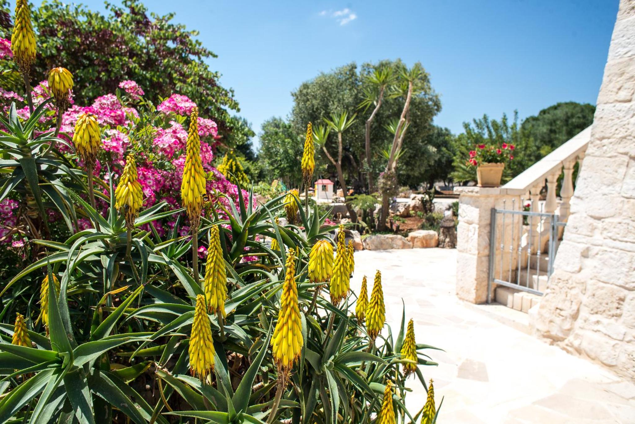 Agriturismo Grotta Di Figazzano