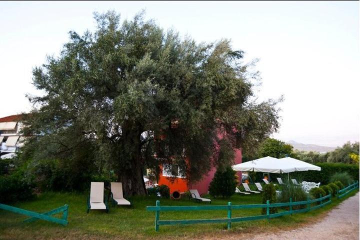 Odysseia Apartments