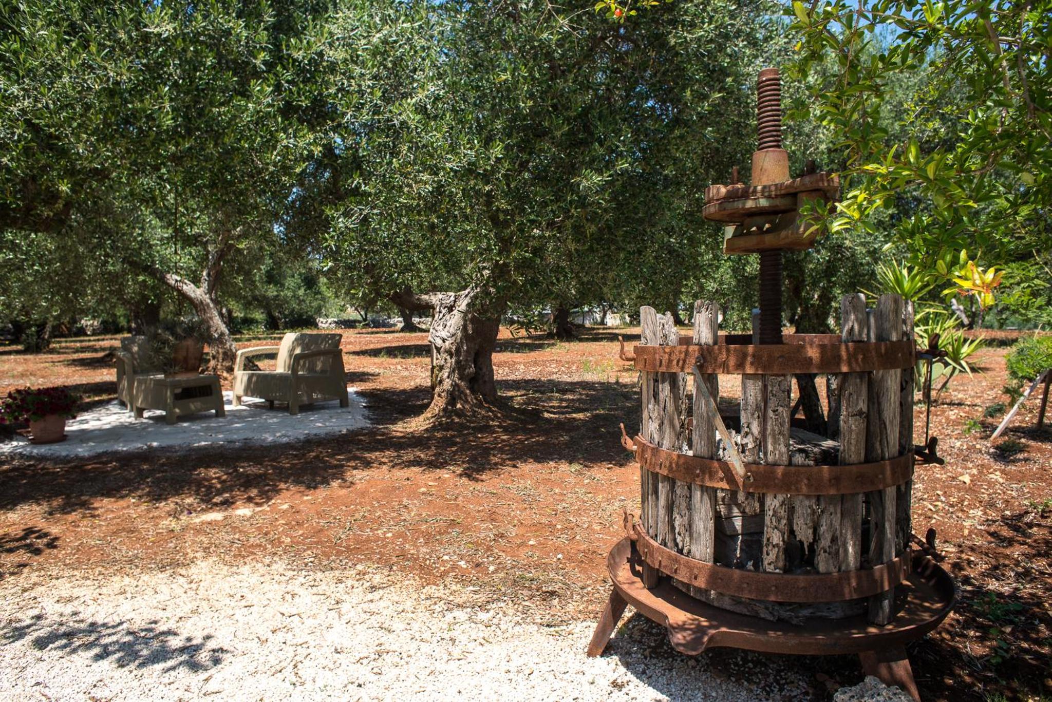 Agriturismo Grotta Di Figazzano