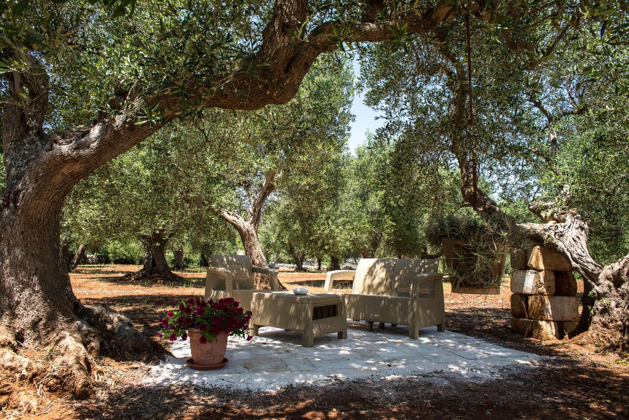 Agriturismo Grotta Di Figazzano