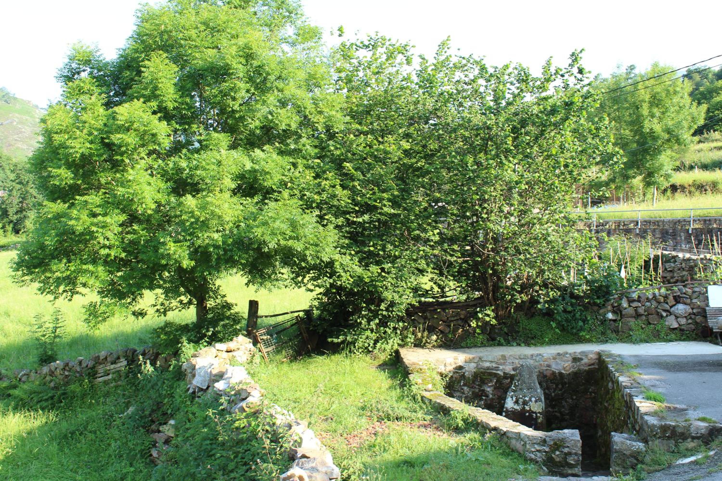 Photo 28