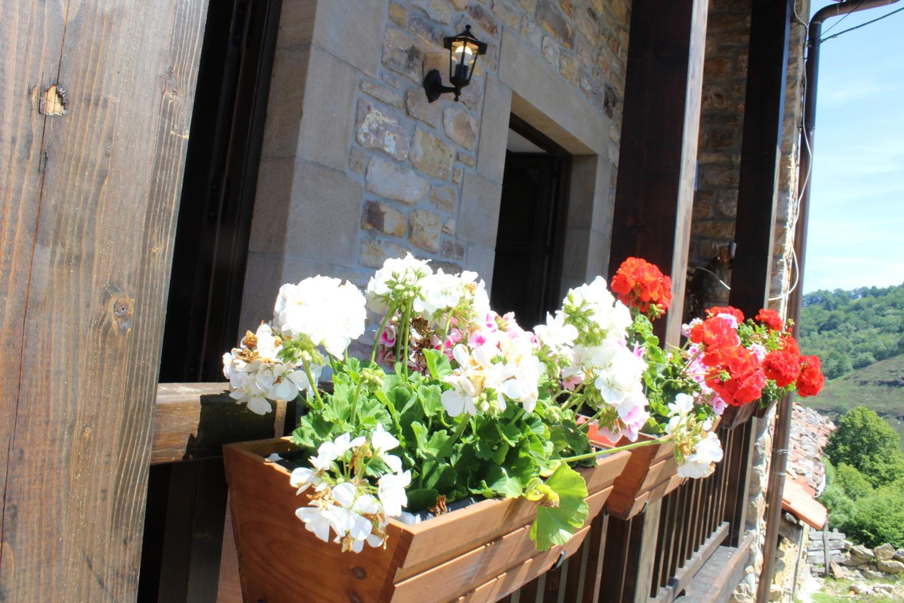 Apartamentos San Antonio de Garabandal