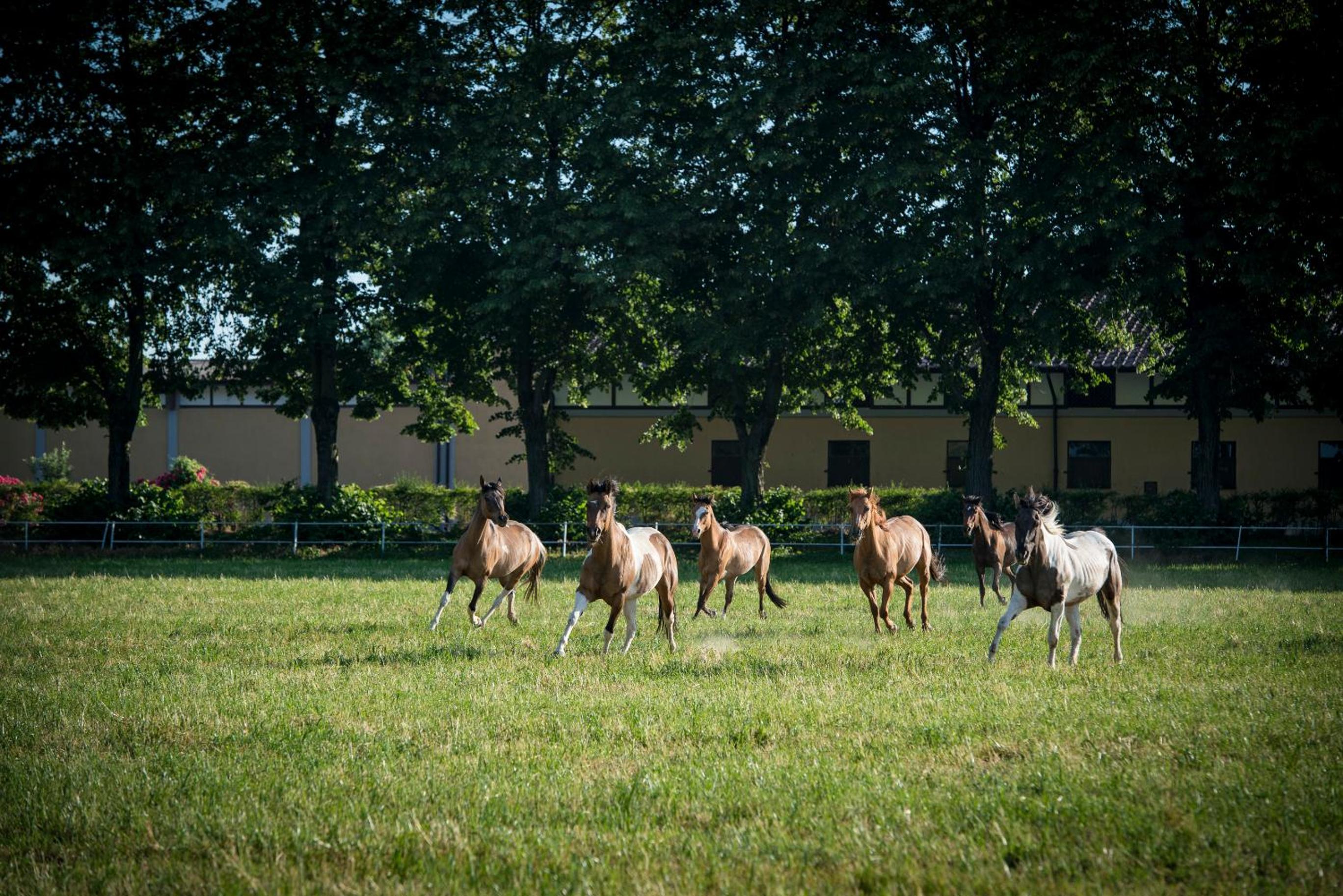 Agriturismo Tenuta 