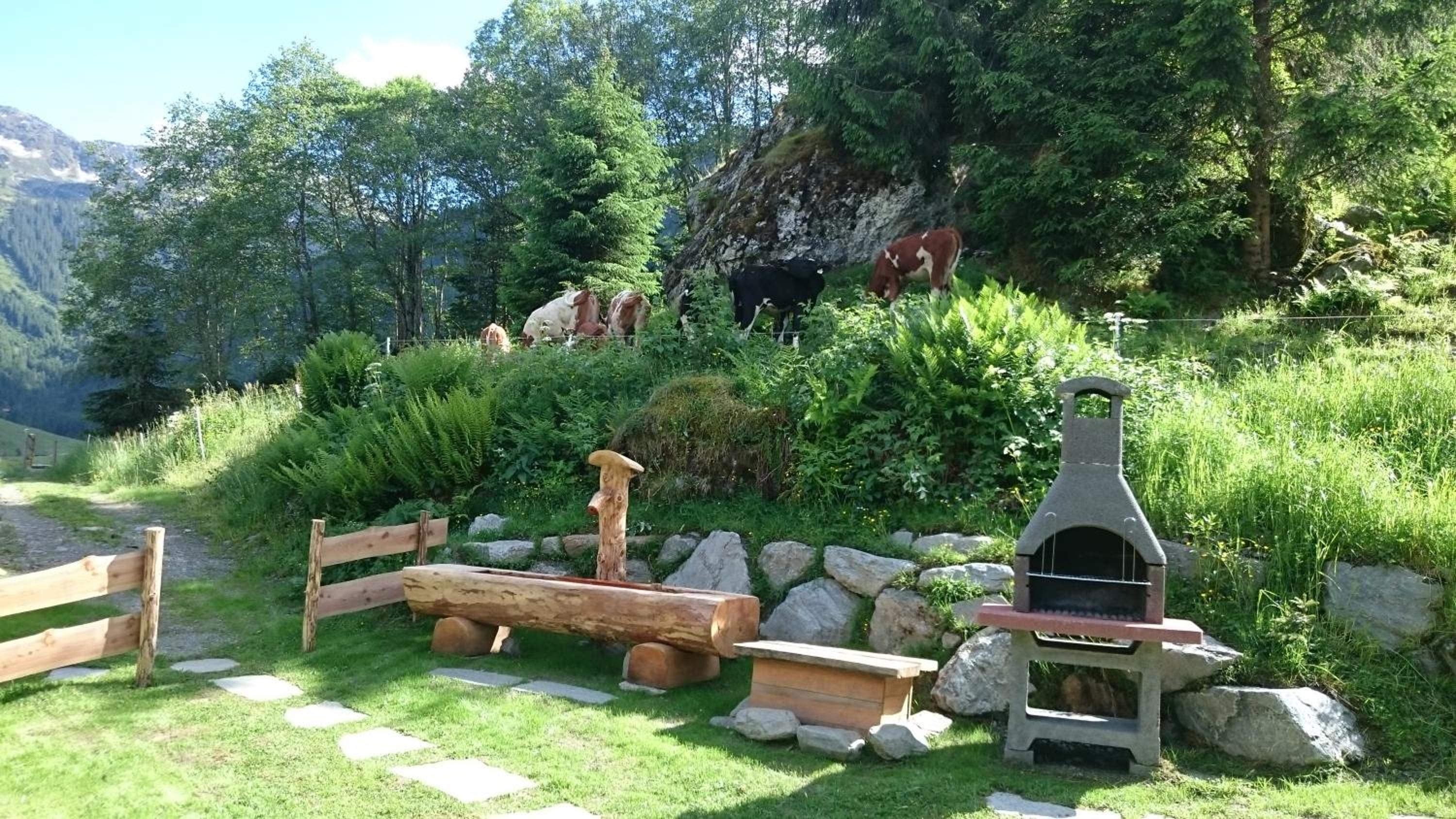 Chalet Ursteinhütte