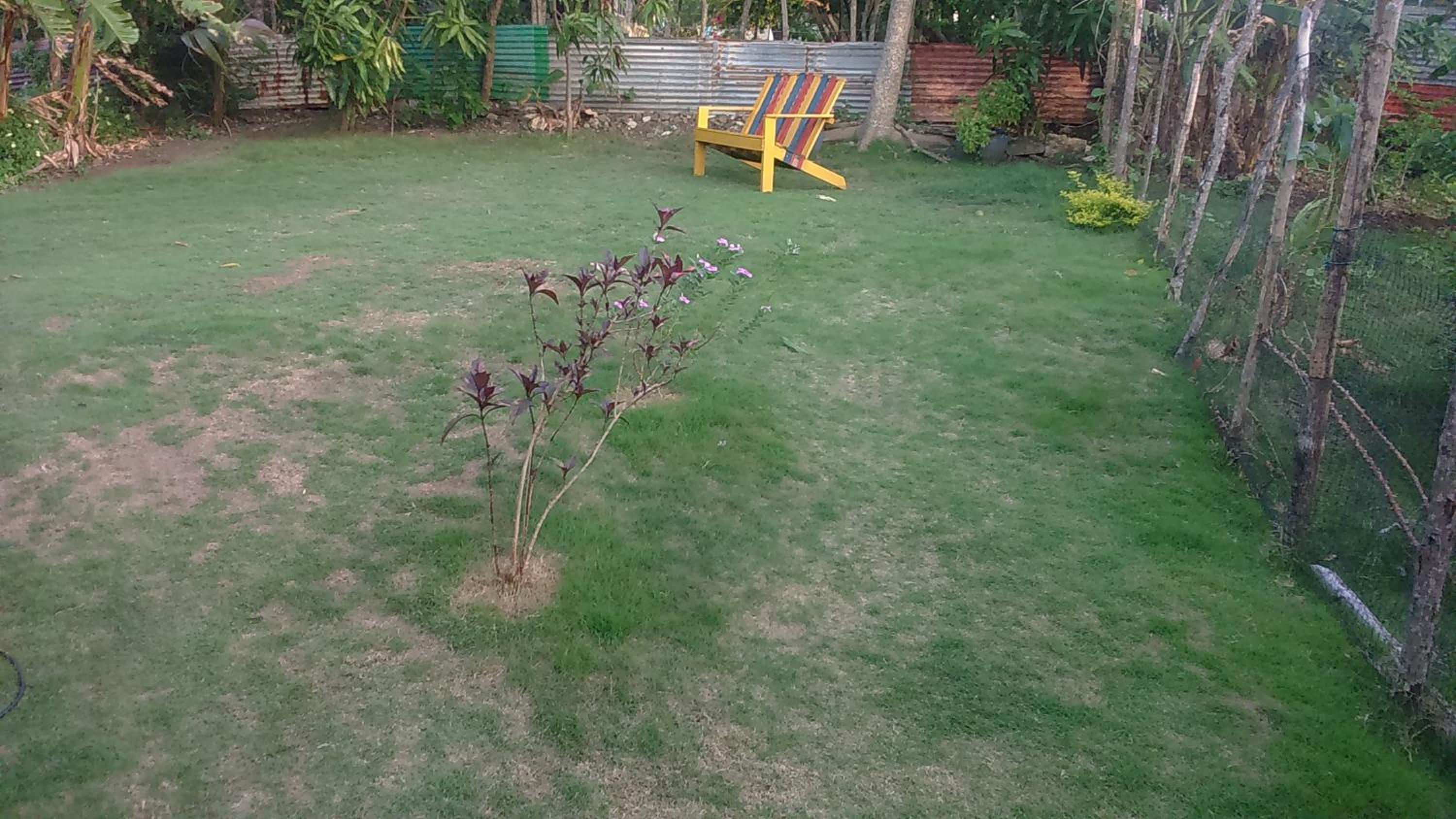 garden