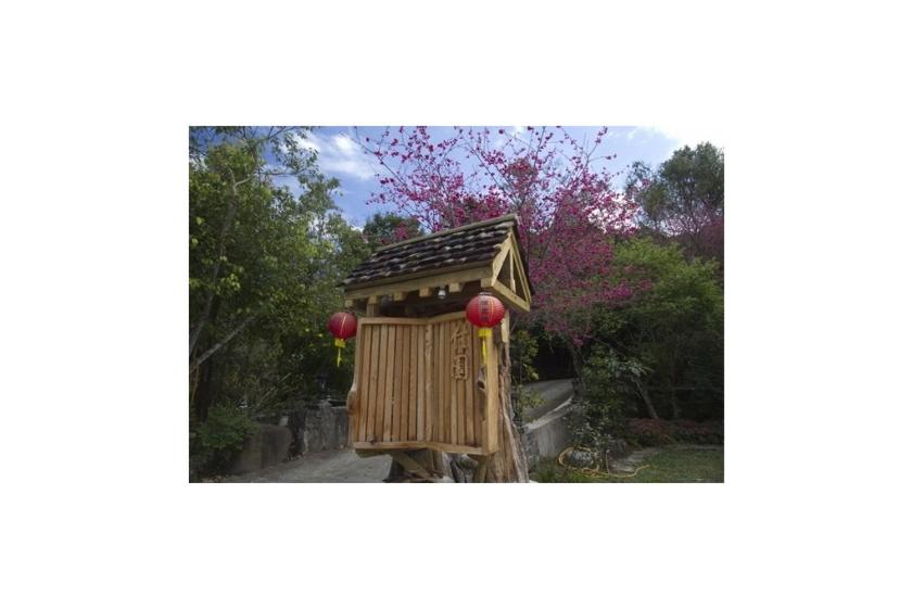 Photo 46