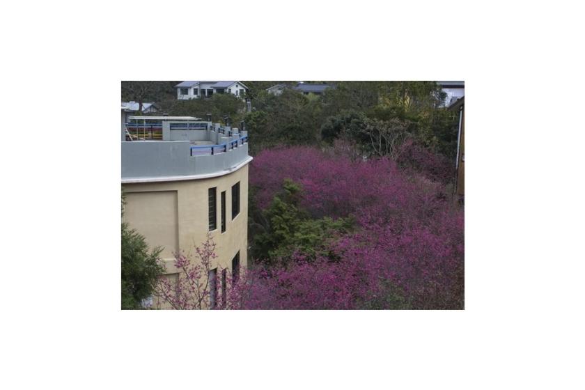Photo 48