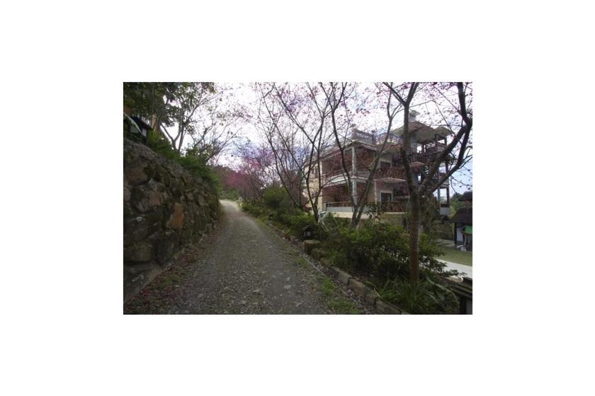 Photo 56
