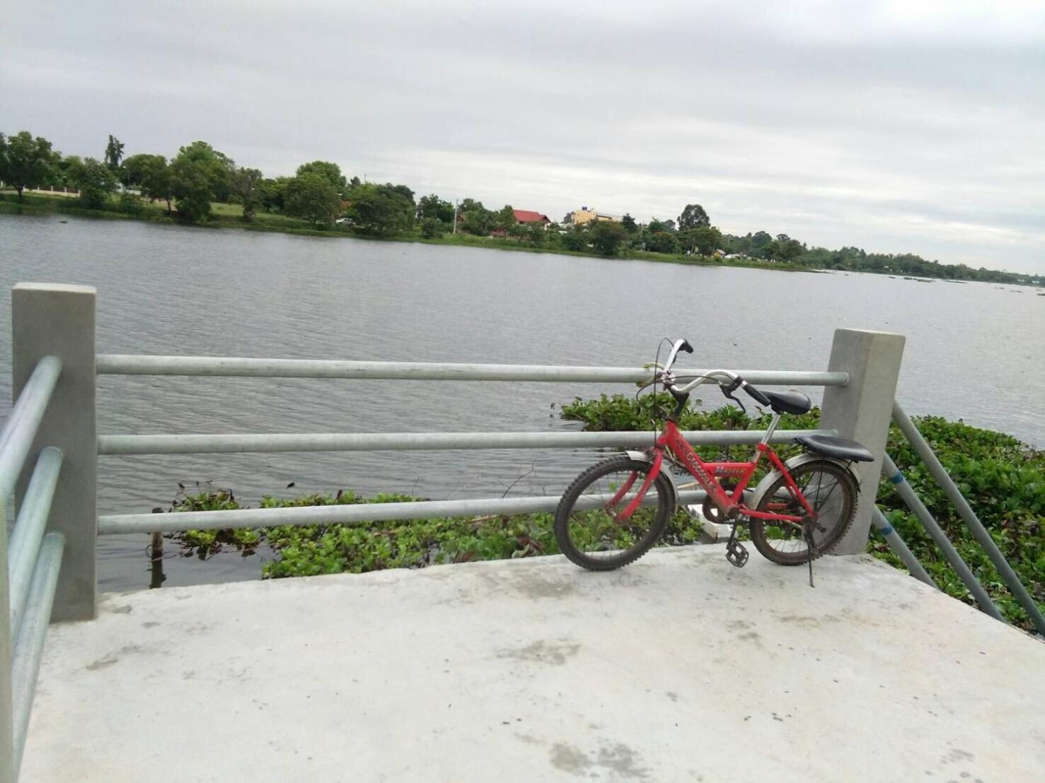 Photo 43