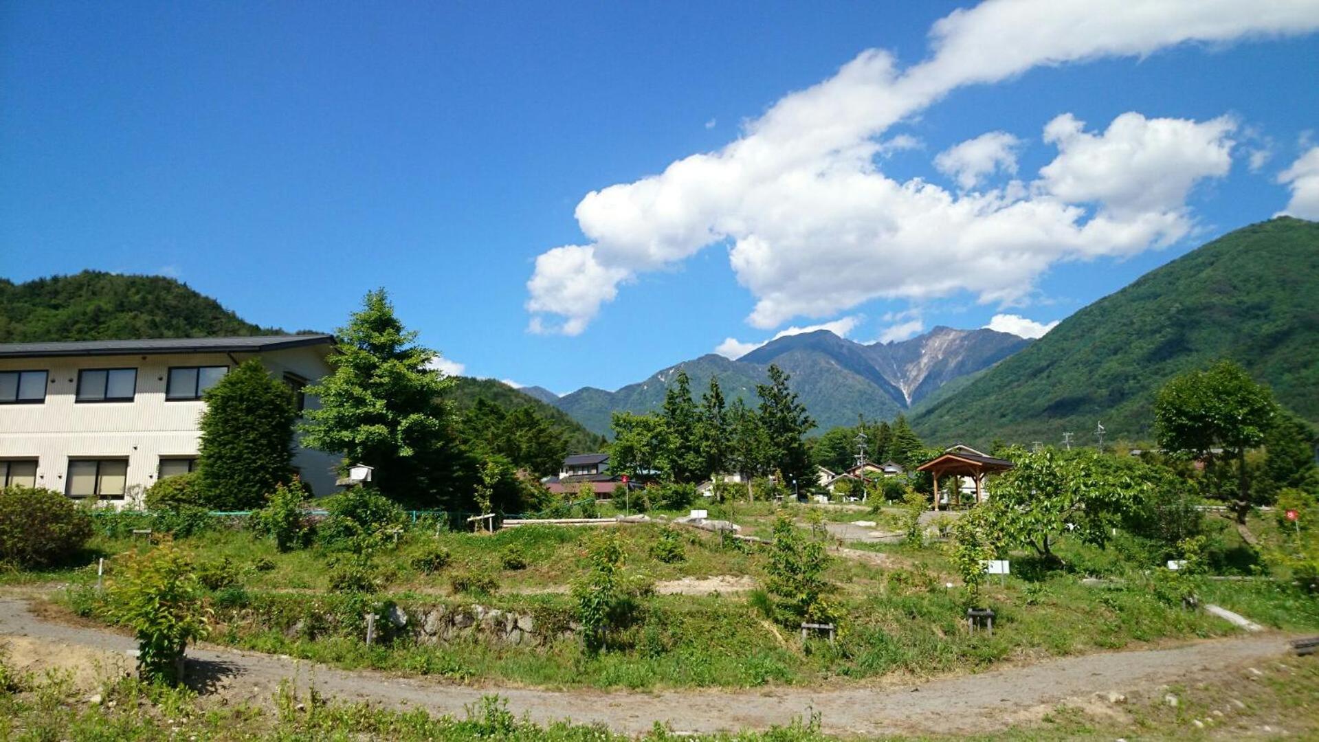 Photo 14
