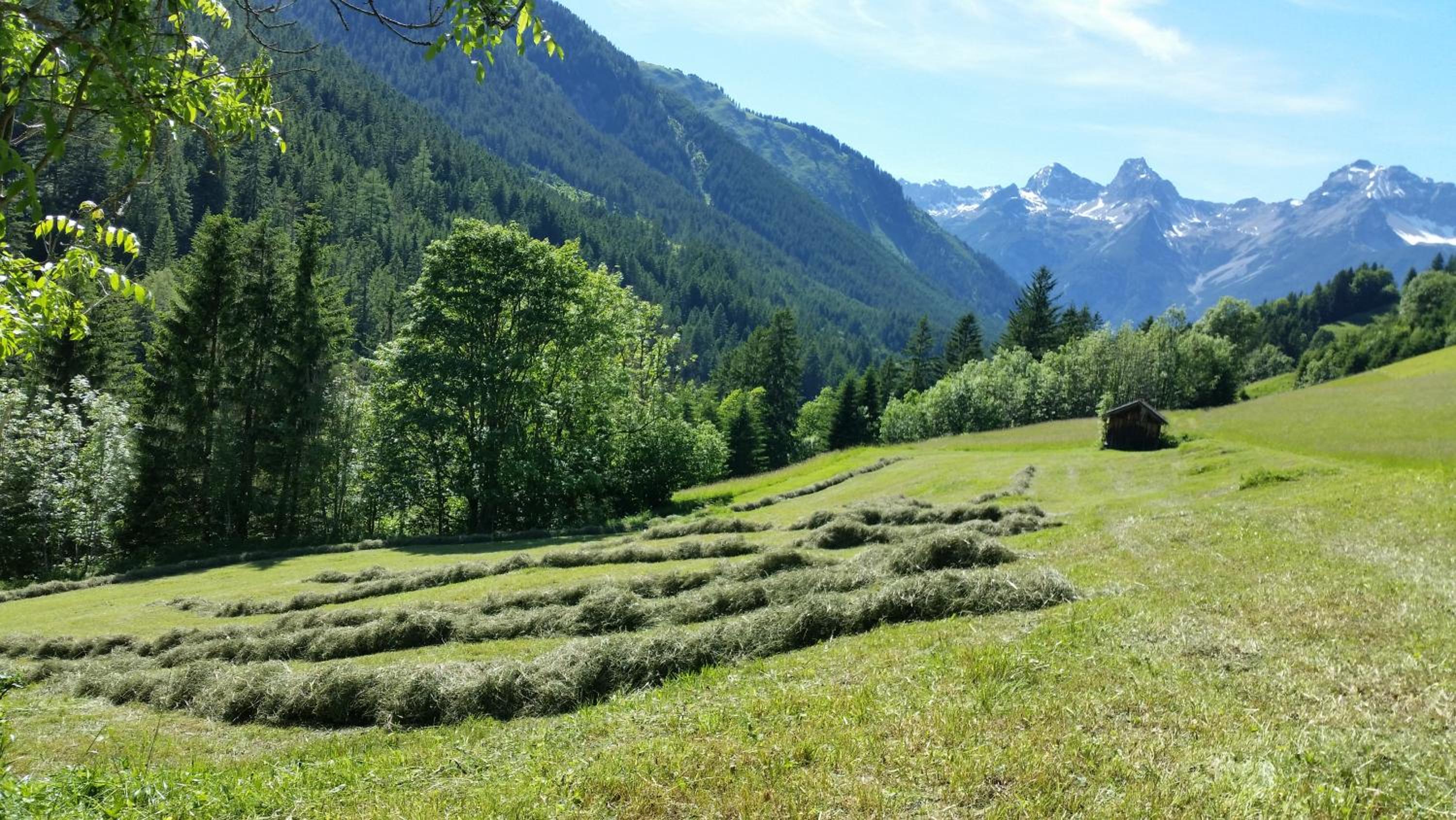 Auszeit Chalets