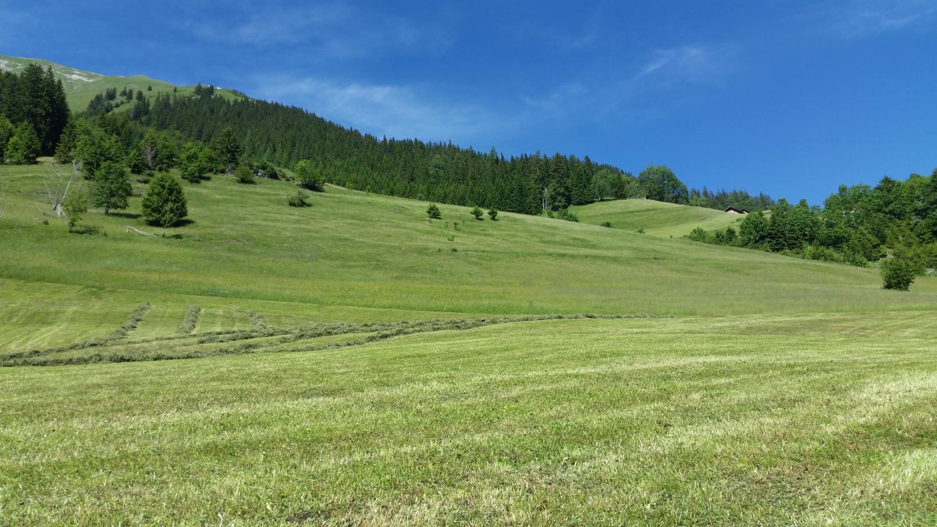 Auszeit Chalets