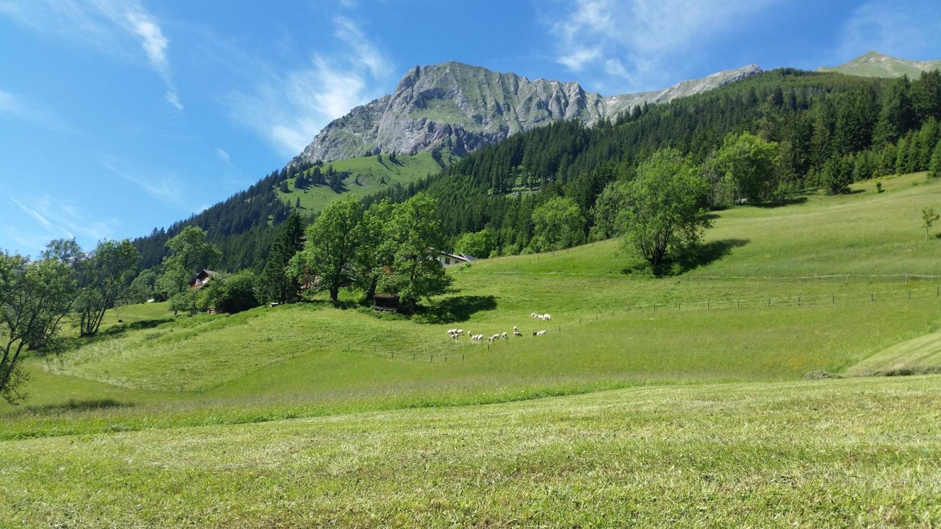 Auszeit Chalets