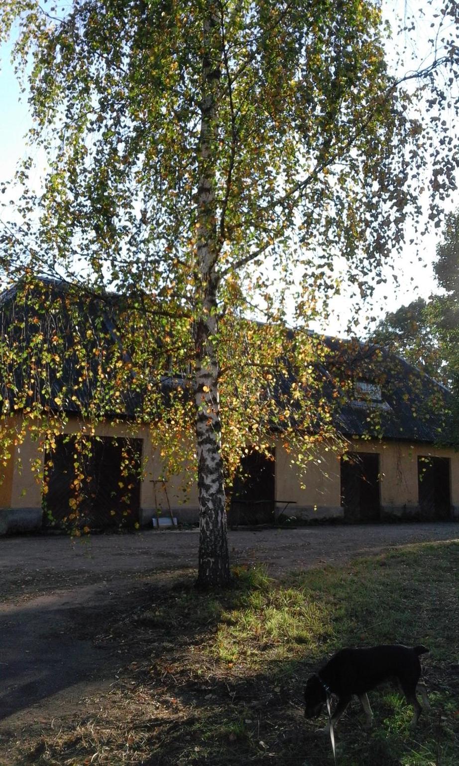 Photo 40