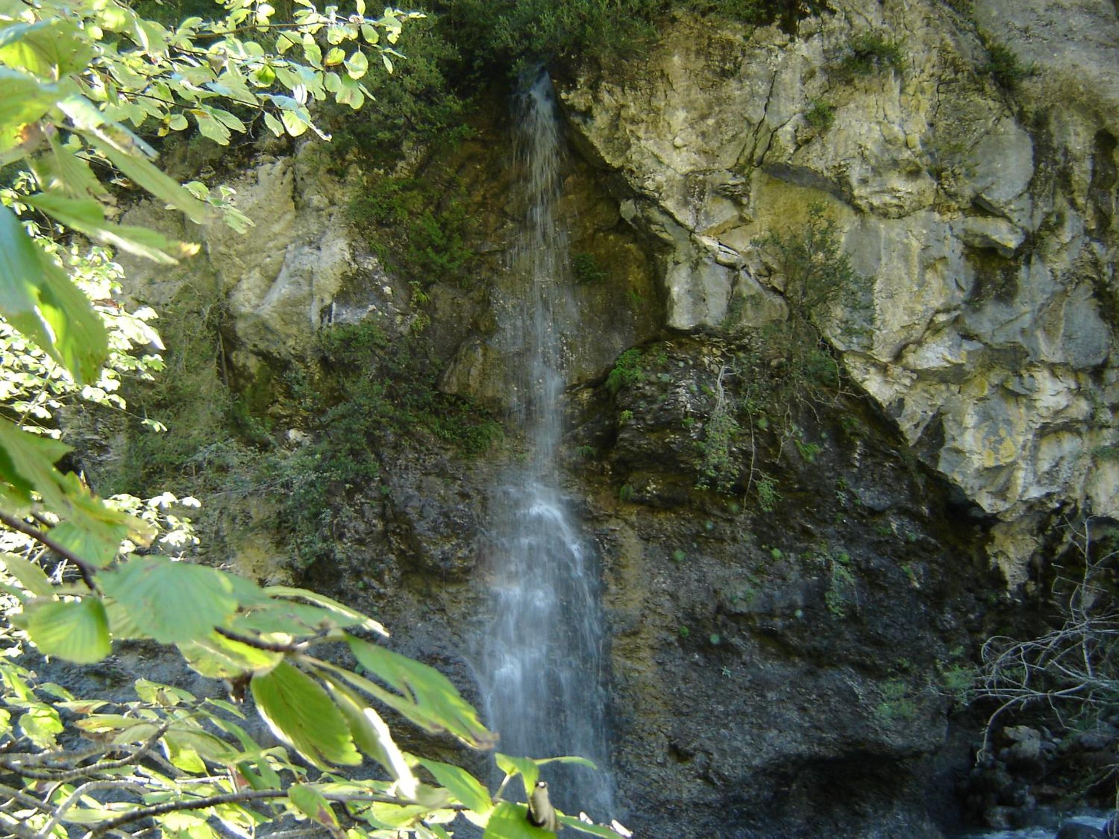 Photo 32