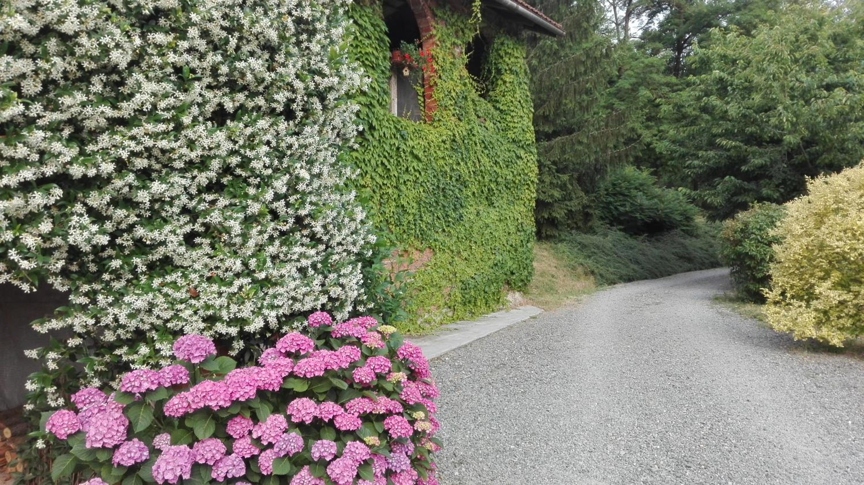 Casa Statiella, photo 27