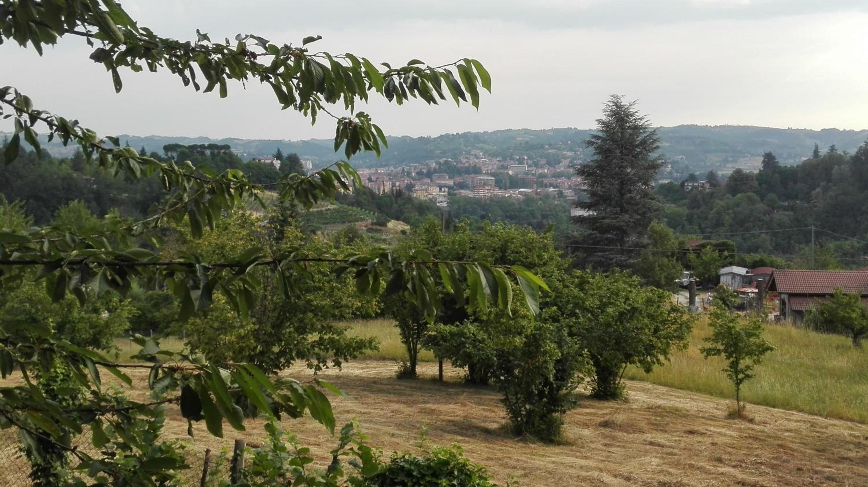 Casa Statiella, photo 10
