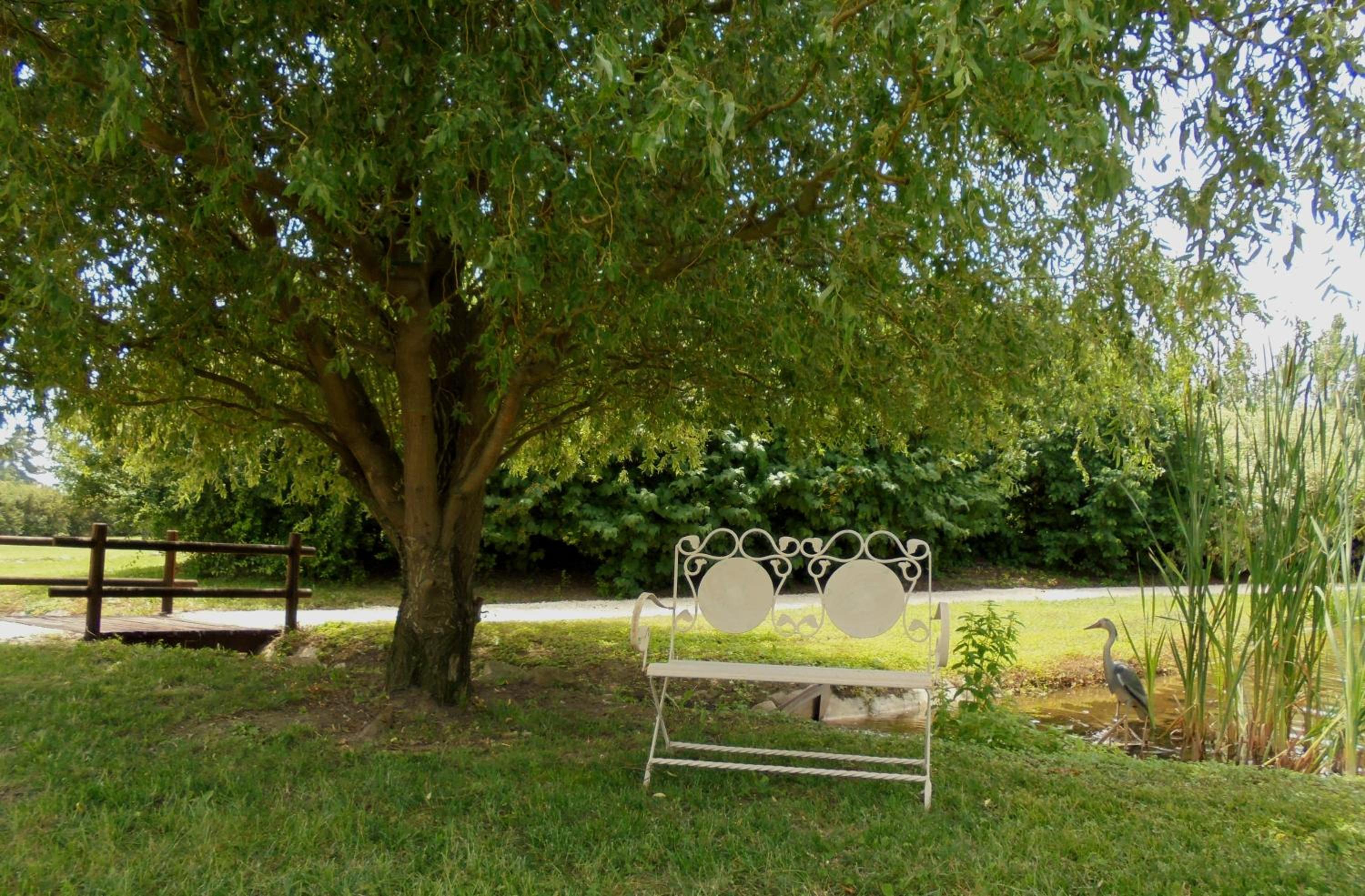 La Casa di Campagna - Property Image 91